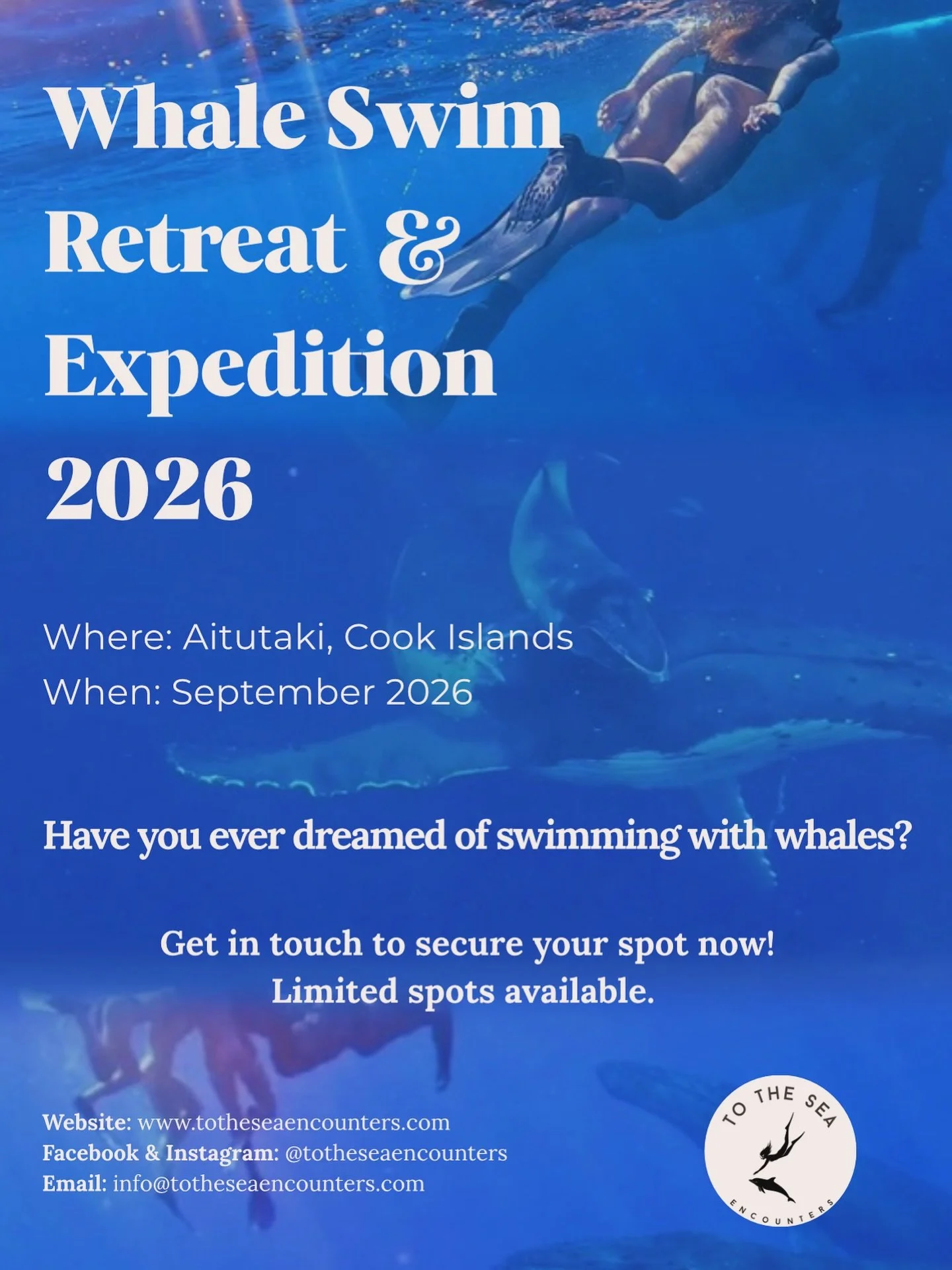 ➾ Whale Swim Retreat &amp; Expedition 

🐋 ✈️ 🏝️🌺 🏞️ ✨

Where: Aitutaki, Cook Islands
When: September 2026 (3 trips!)

Who&rsquo;s coming with us?!

Whales, sunshine, salty hair and endless ocean days &mdash; yes please!

We&rsquo;ll stay right on