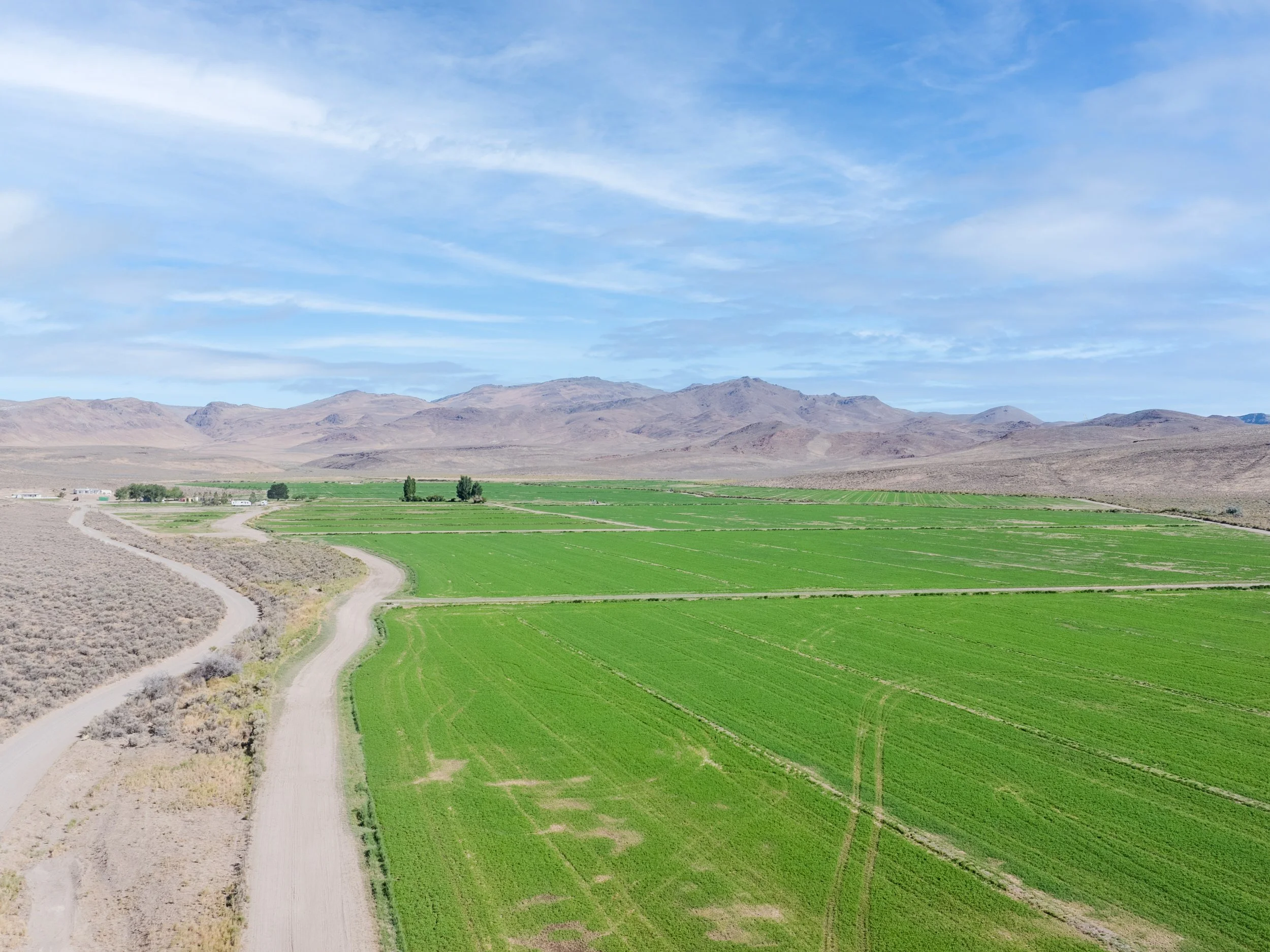 A landscape of green farmland with mountains in the background and a blue sky with clouds.