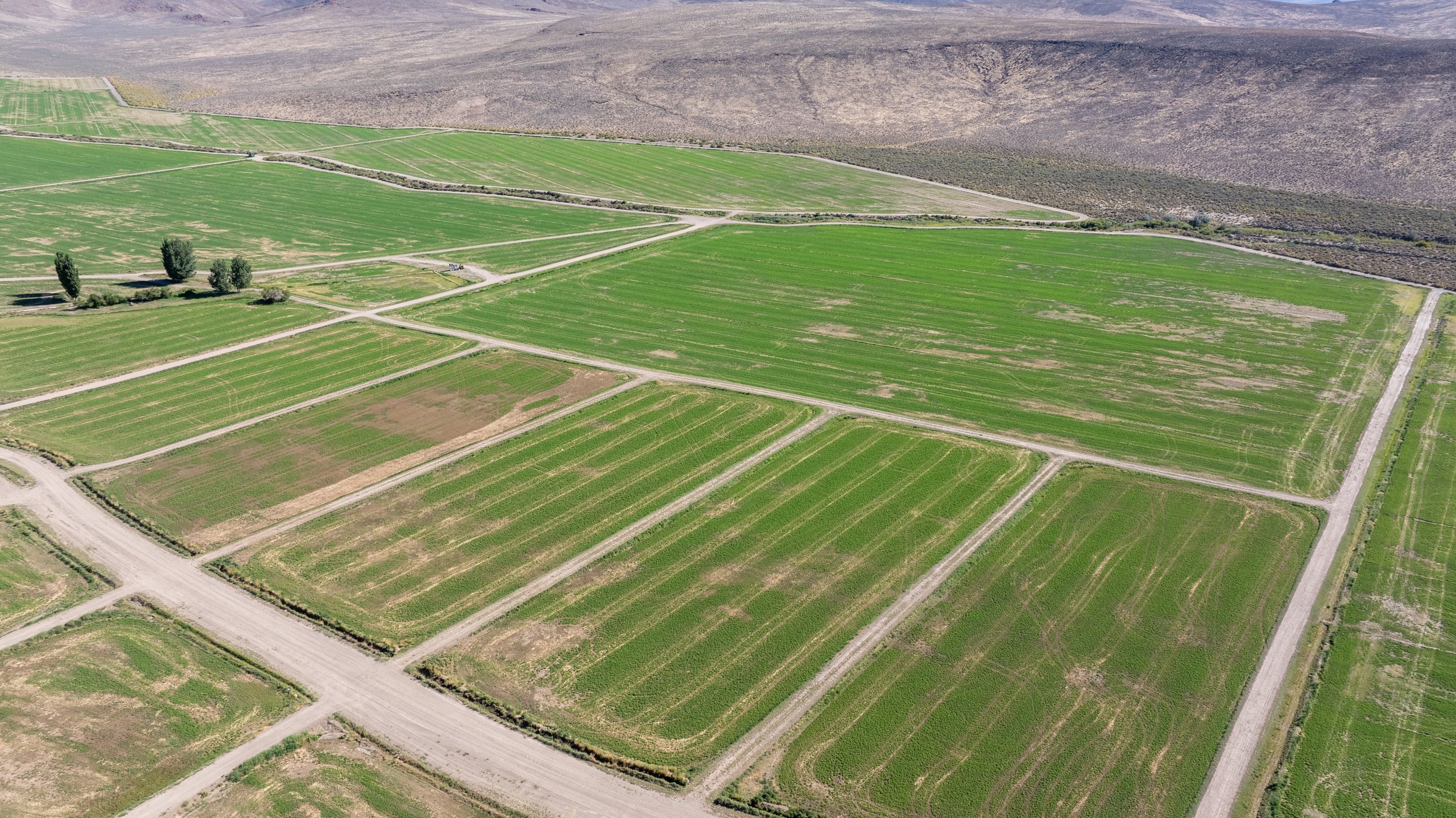 shilohfarms-11.jpg