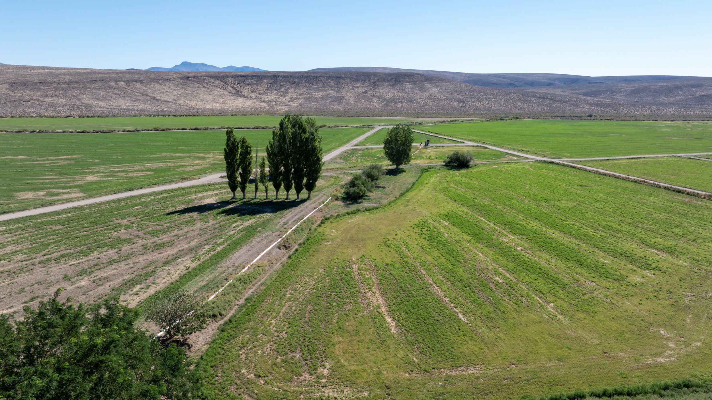 shilohfarms-27.jpg