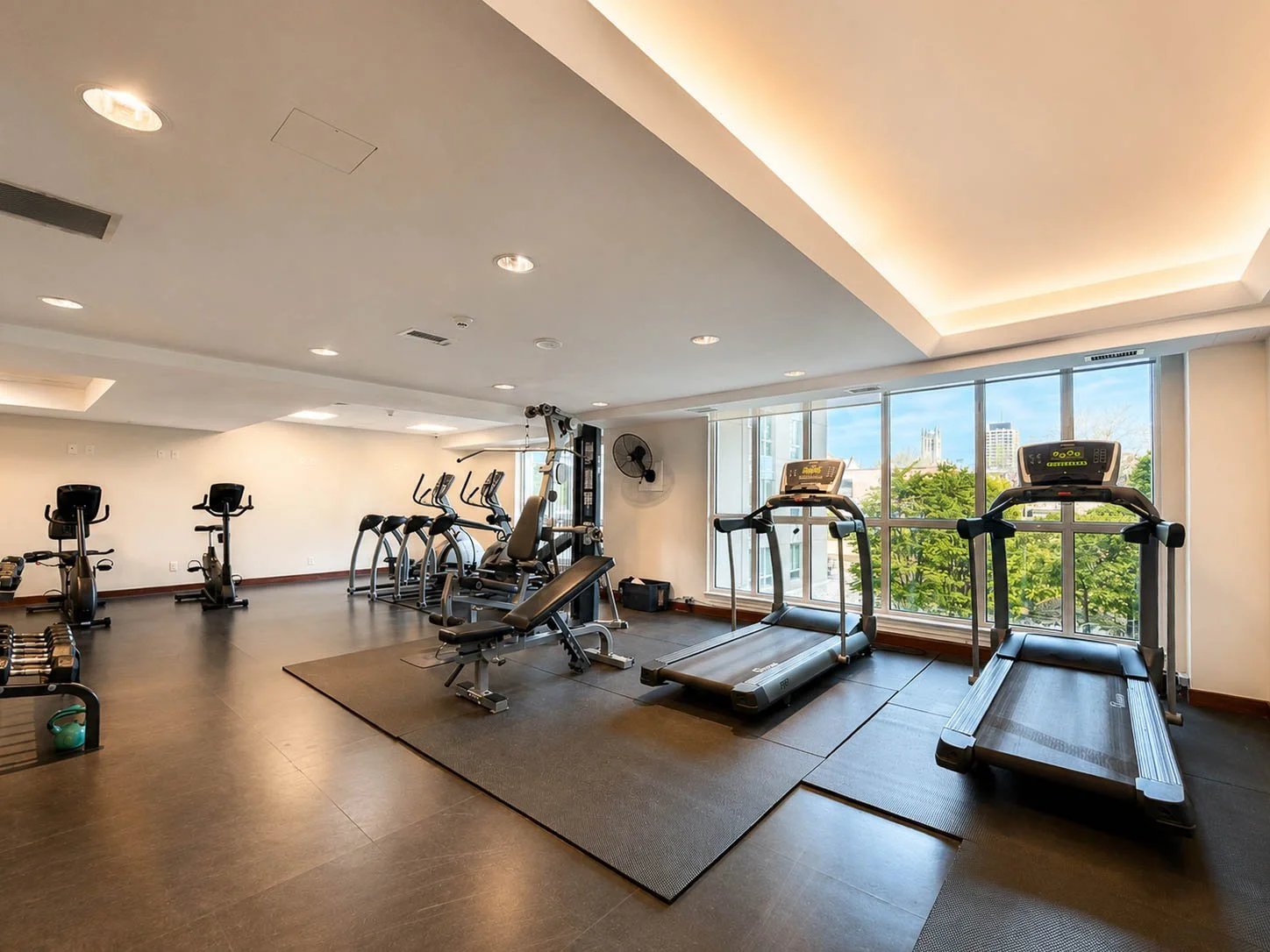 Gym 2.jpg
