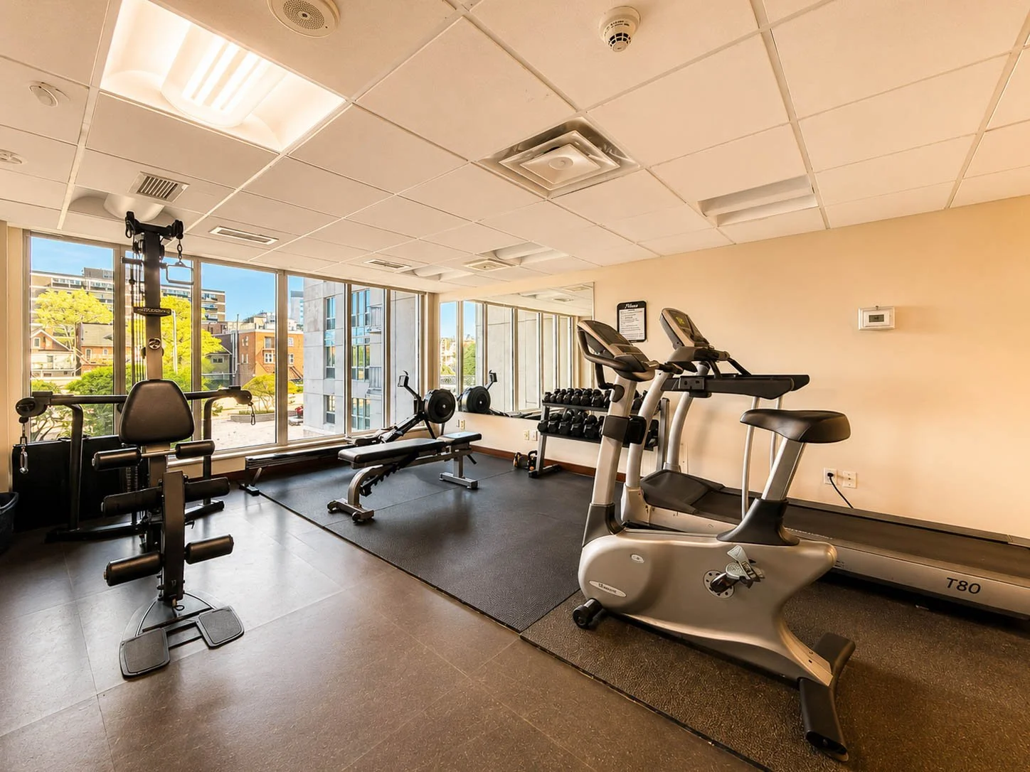 Gym 1.jpg
