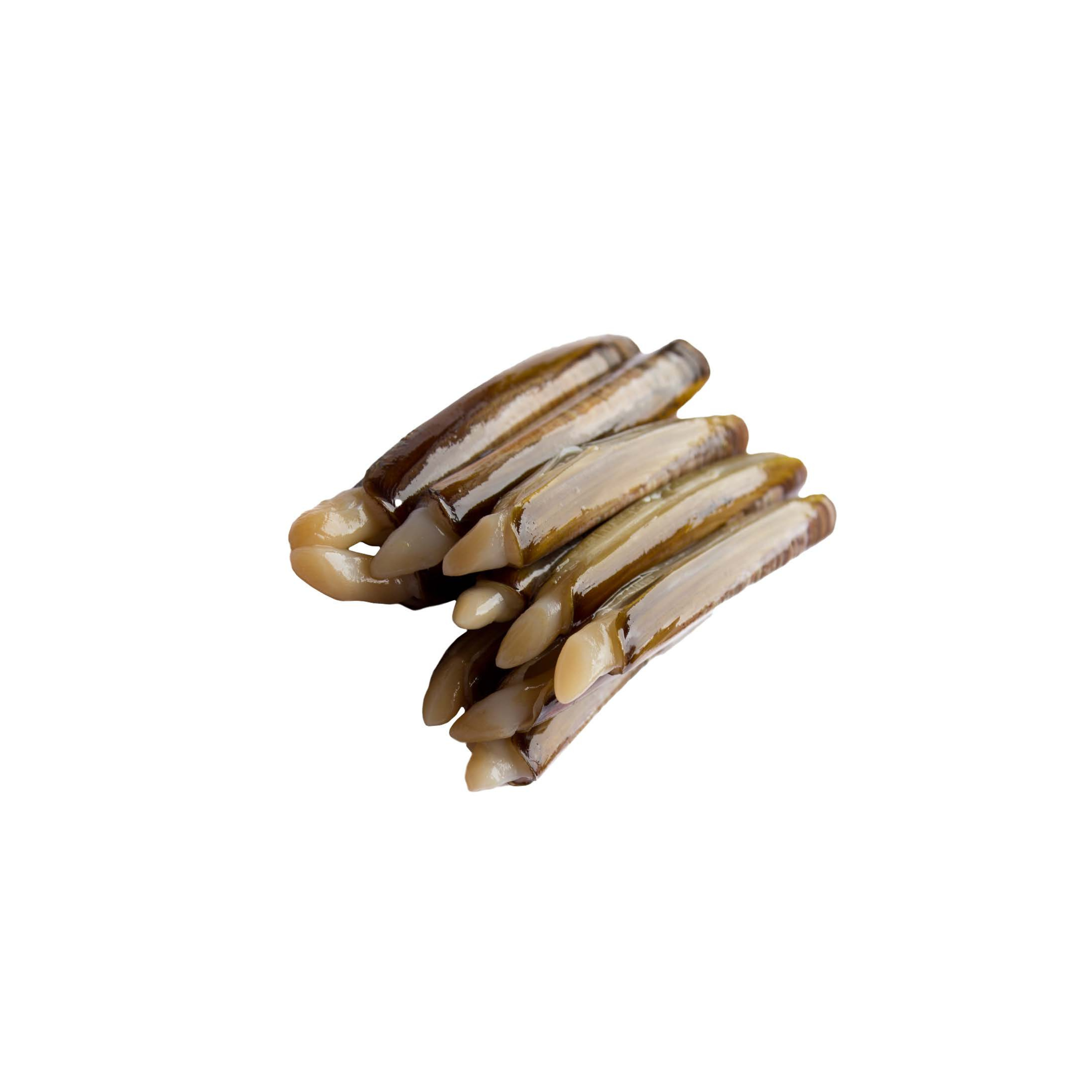 Razor Clams