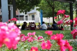 Creating inclusive GSAs