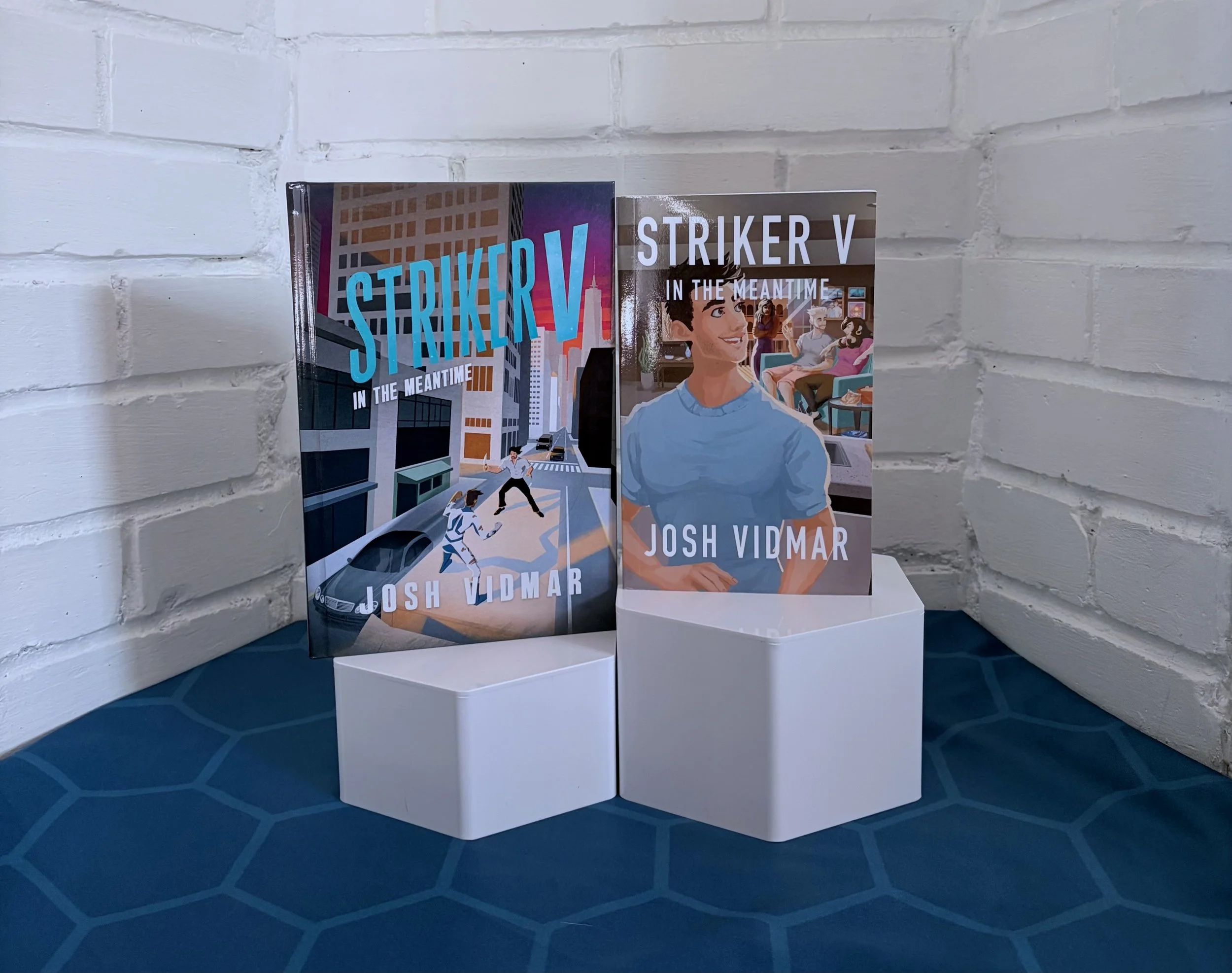 Striker V: In the Meantime (Book 2)