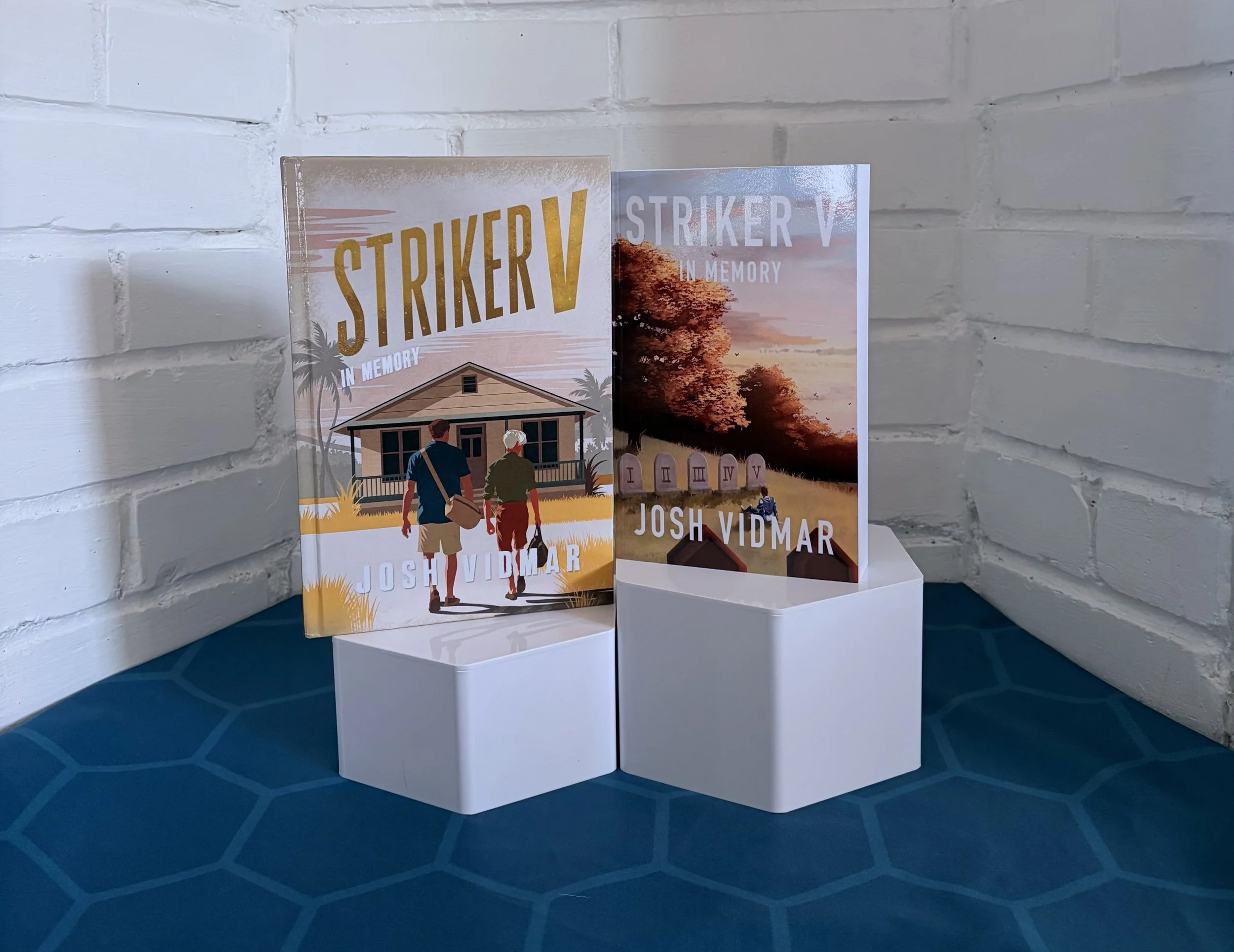 Striker V: In Memory (Book 3)