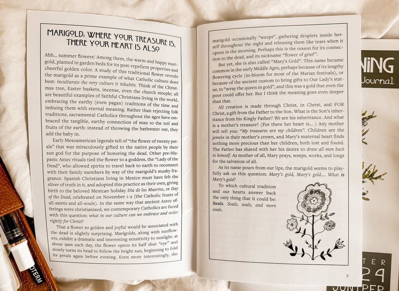 Open book with text about marigolds, their symbolism, and cultural significance, including illustrations of a daisy flower and leaves on the right page.