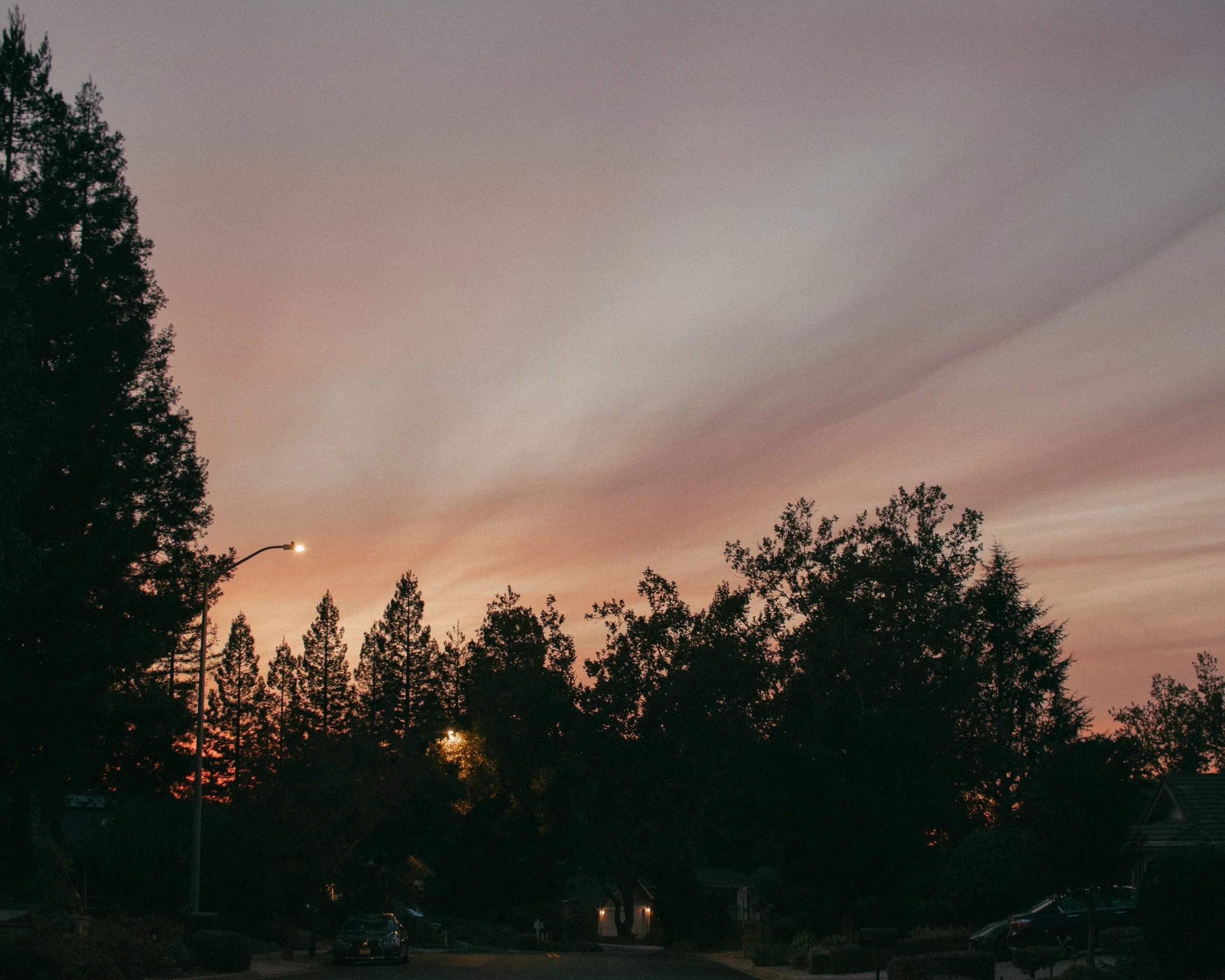 untitled241025- 003.jpg