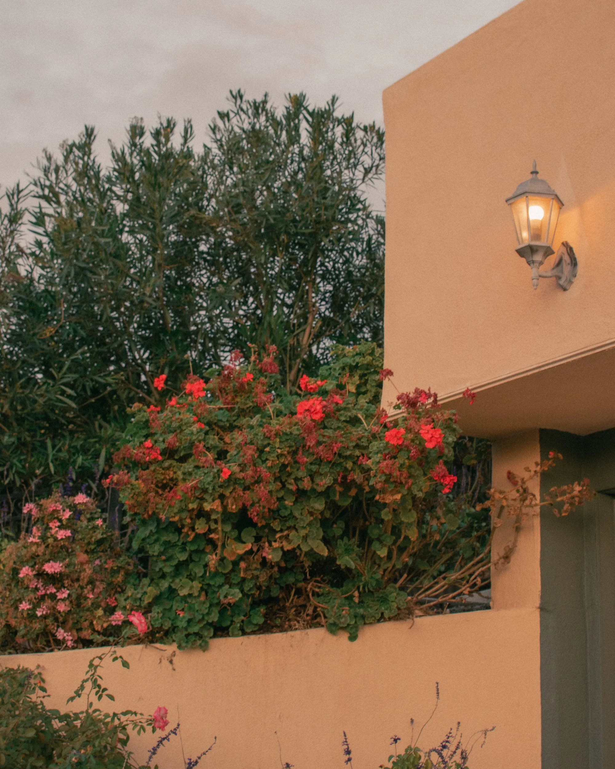 untitled241122- 077.jpg