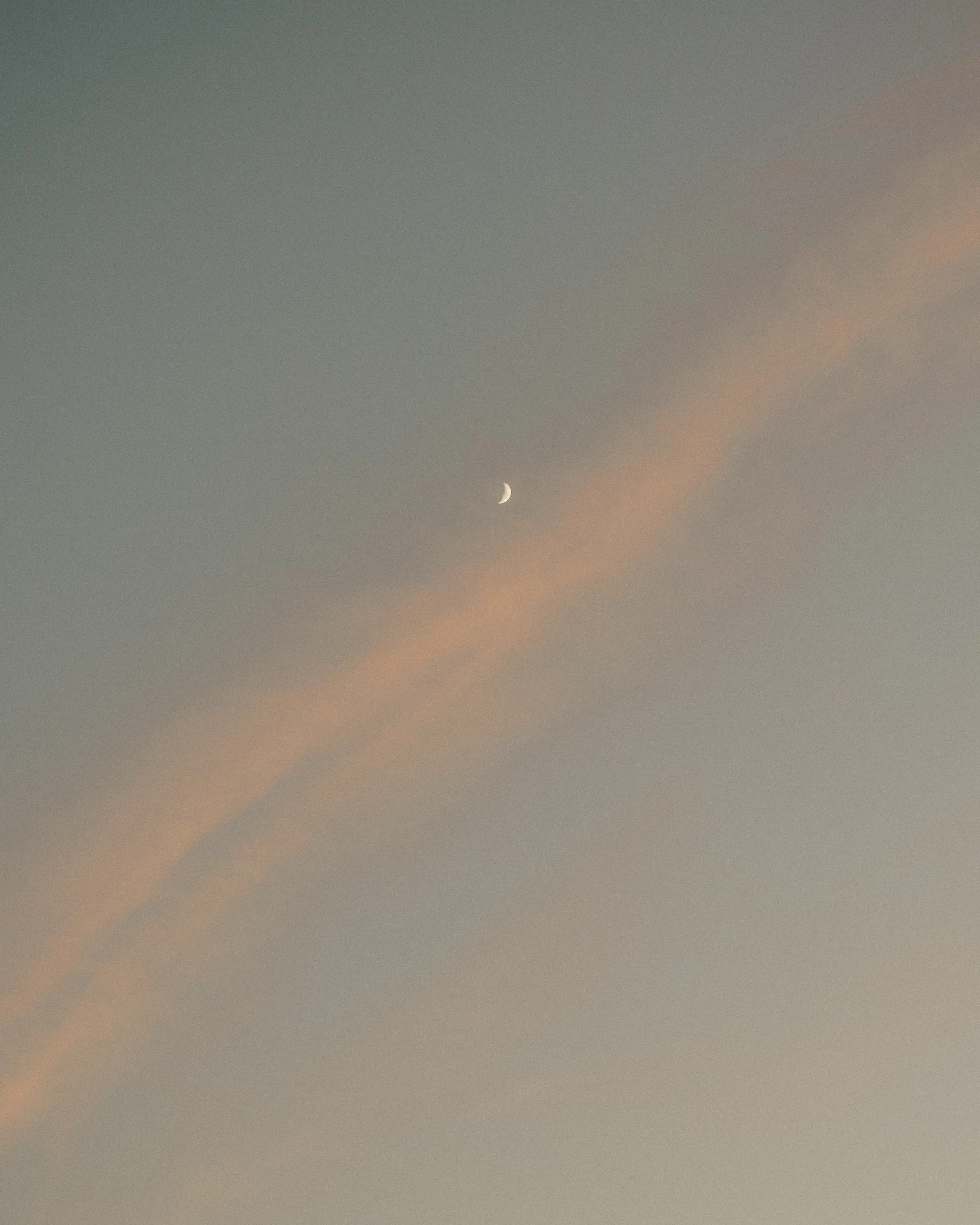 untitled241205- 069.jpg