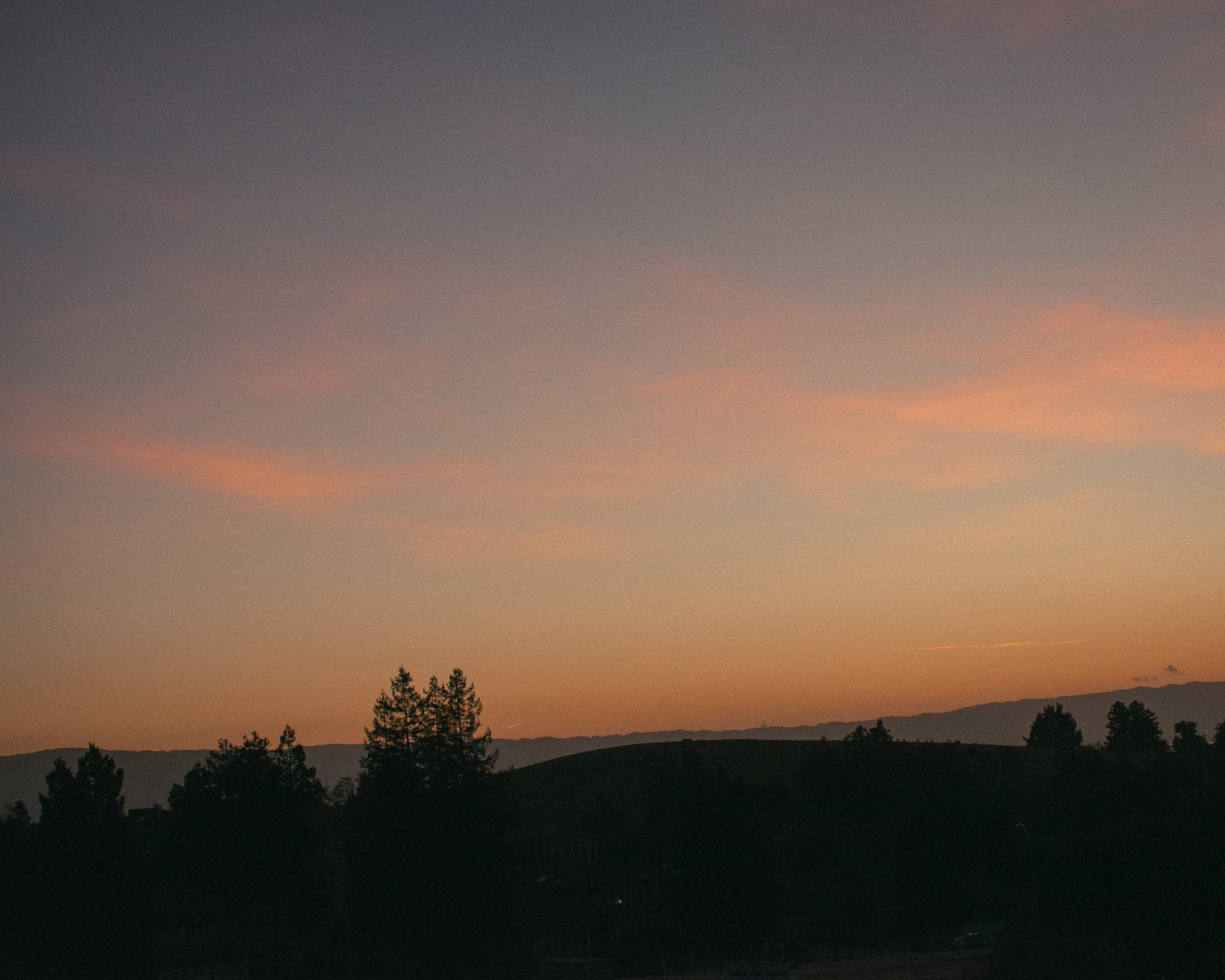 untitled241030- 030.jpg