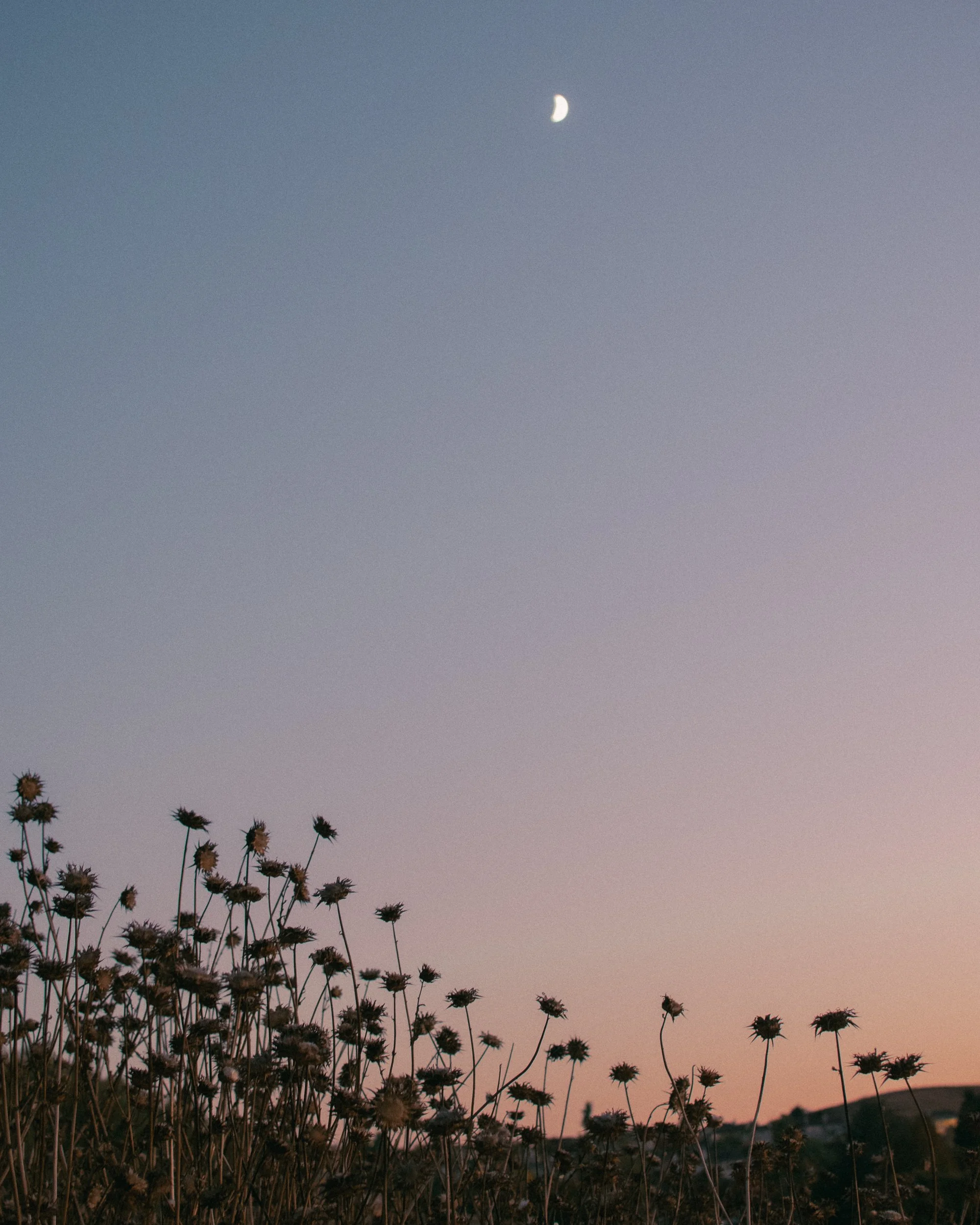 untitled241106- 055.jpg