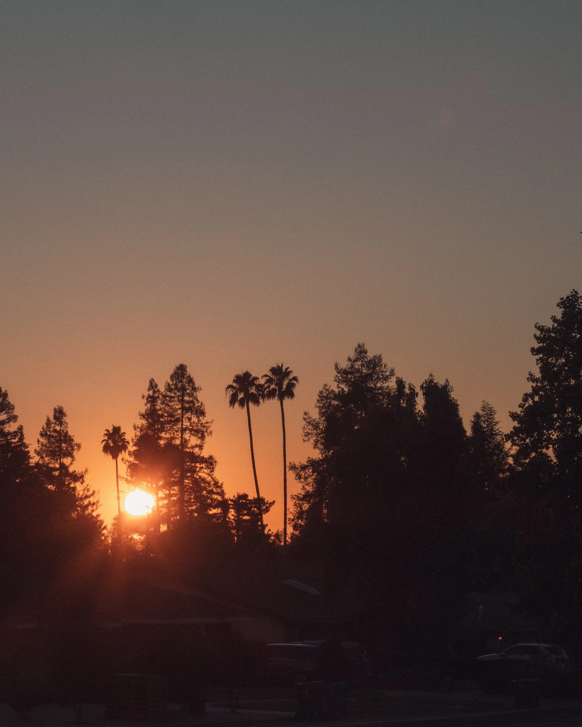 untitled250719- 013.jpg