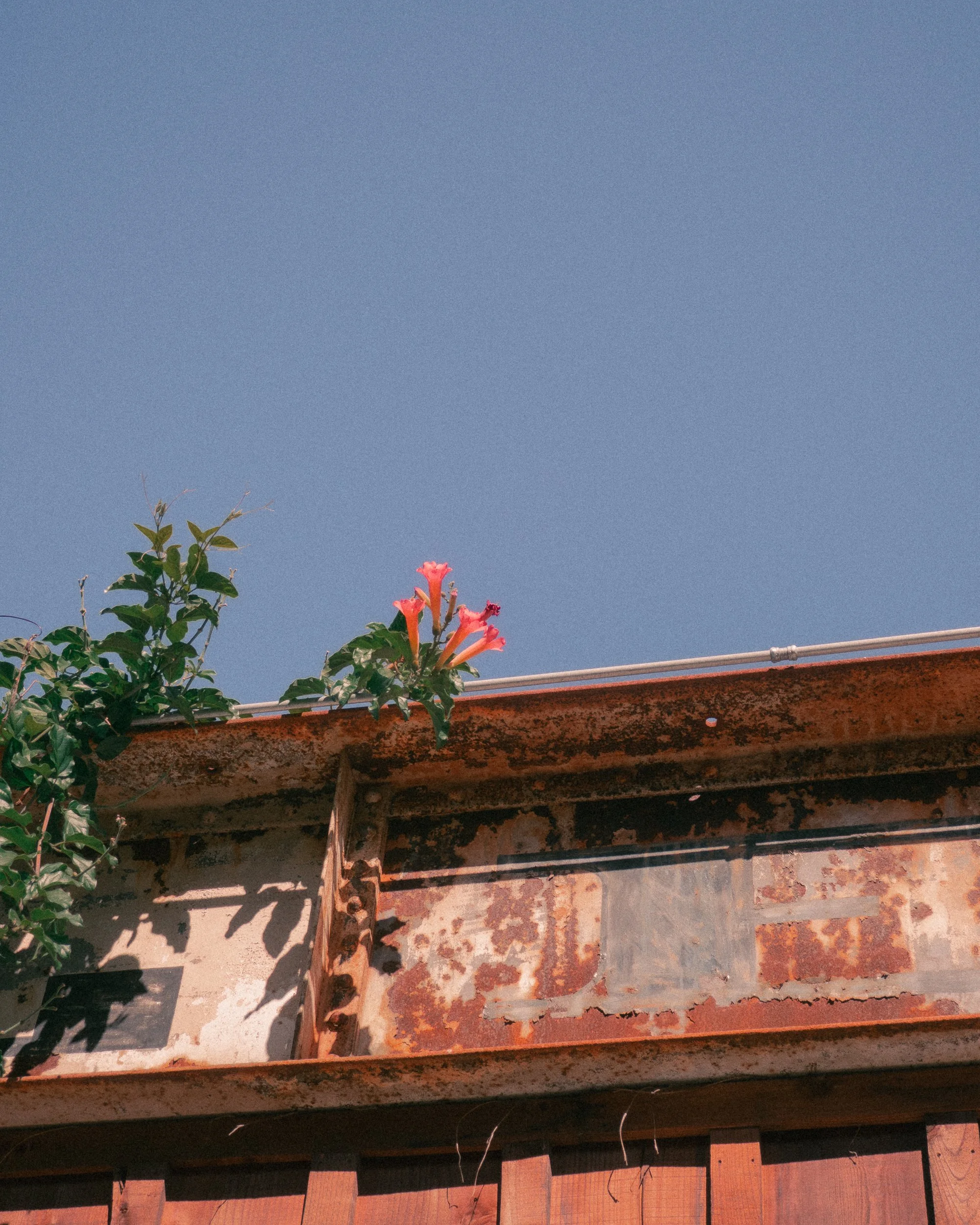 untitled250804- 025.jpg