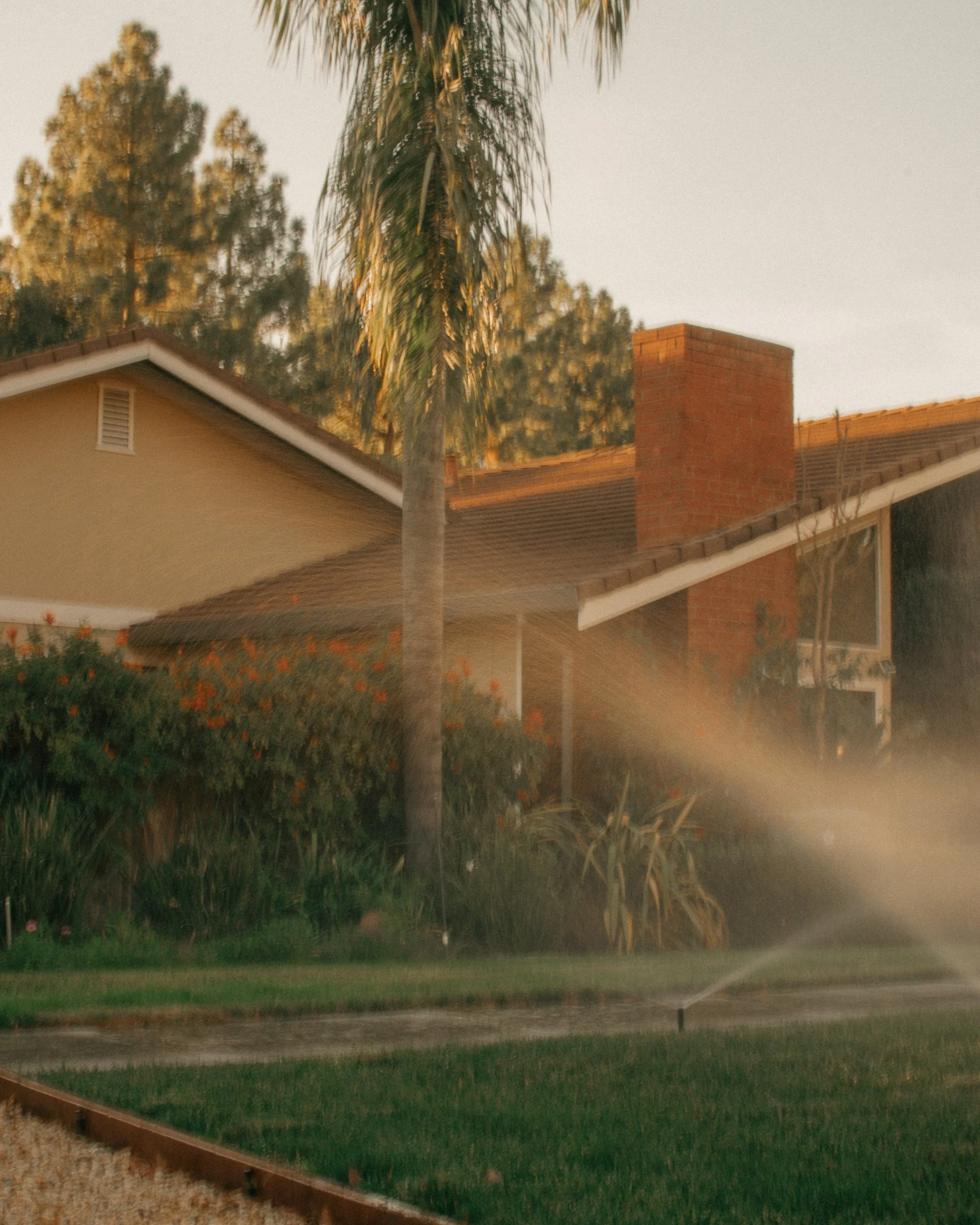 untitled241205- 013.jpg