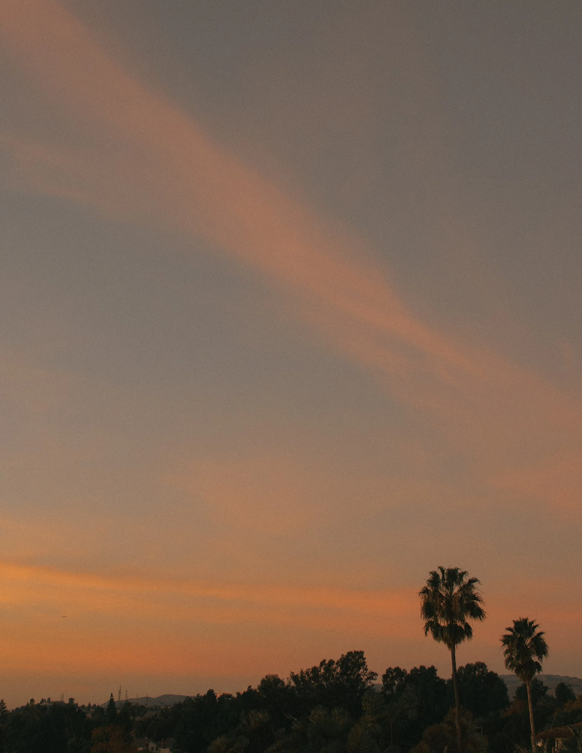 untitled241205- 072.jpg