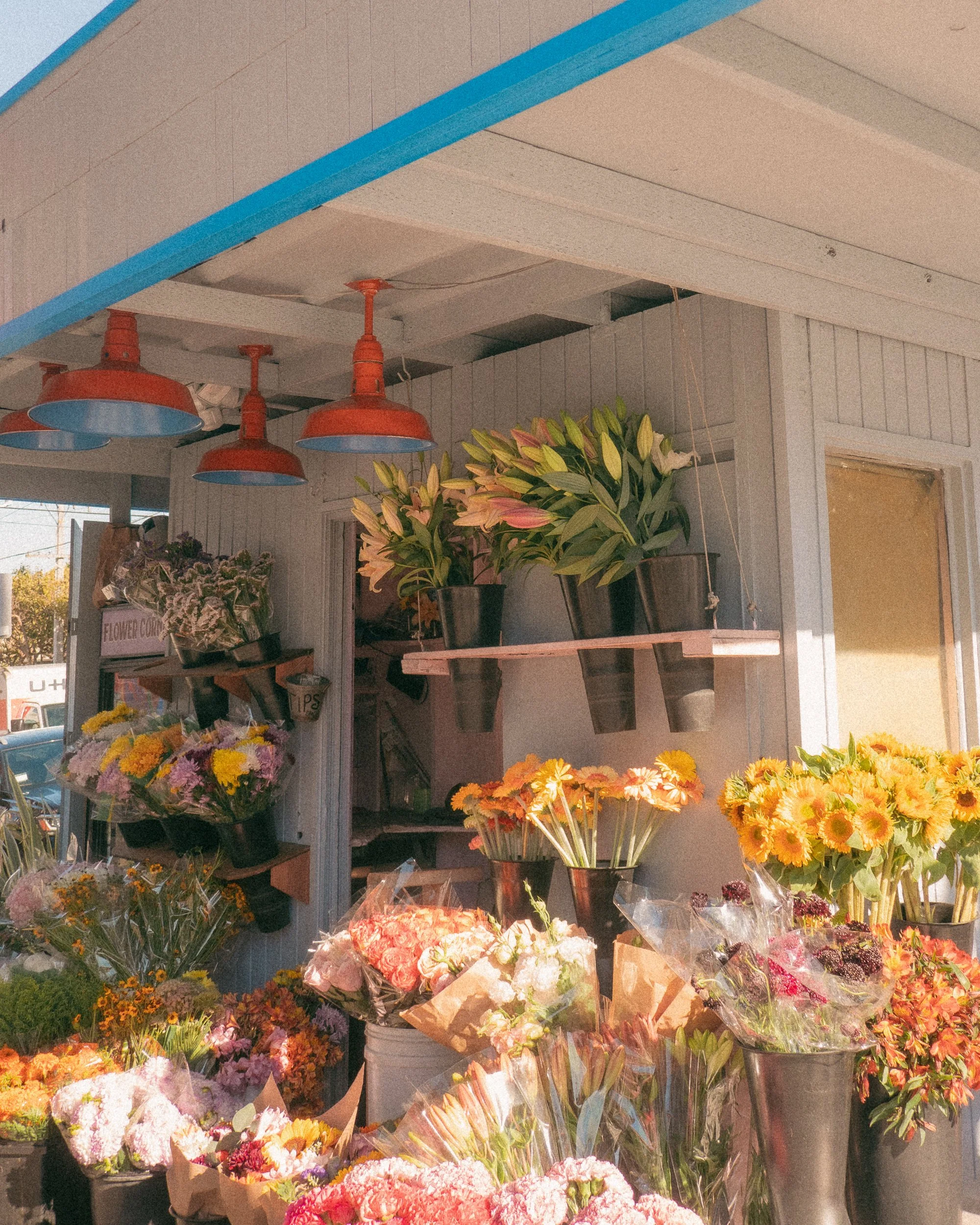 untitled250828- 055.jpg