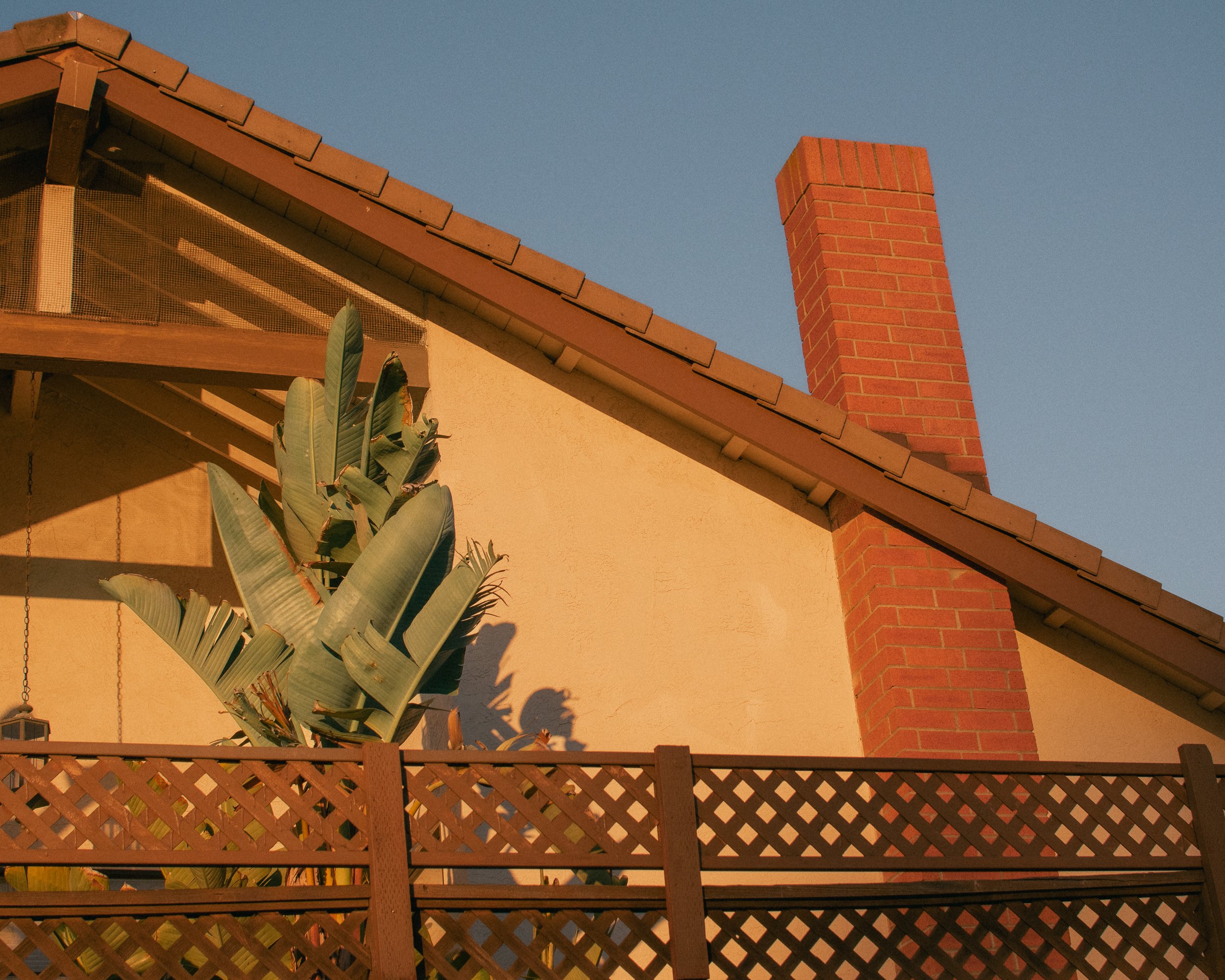 untitled241009- 050.jpg