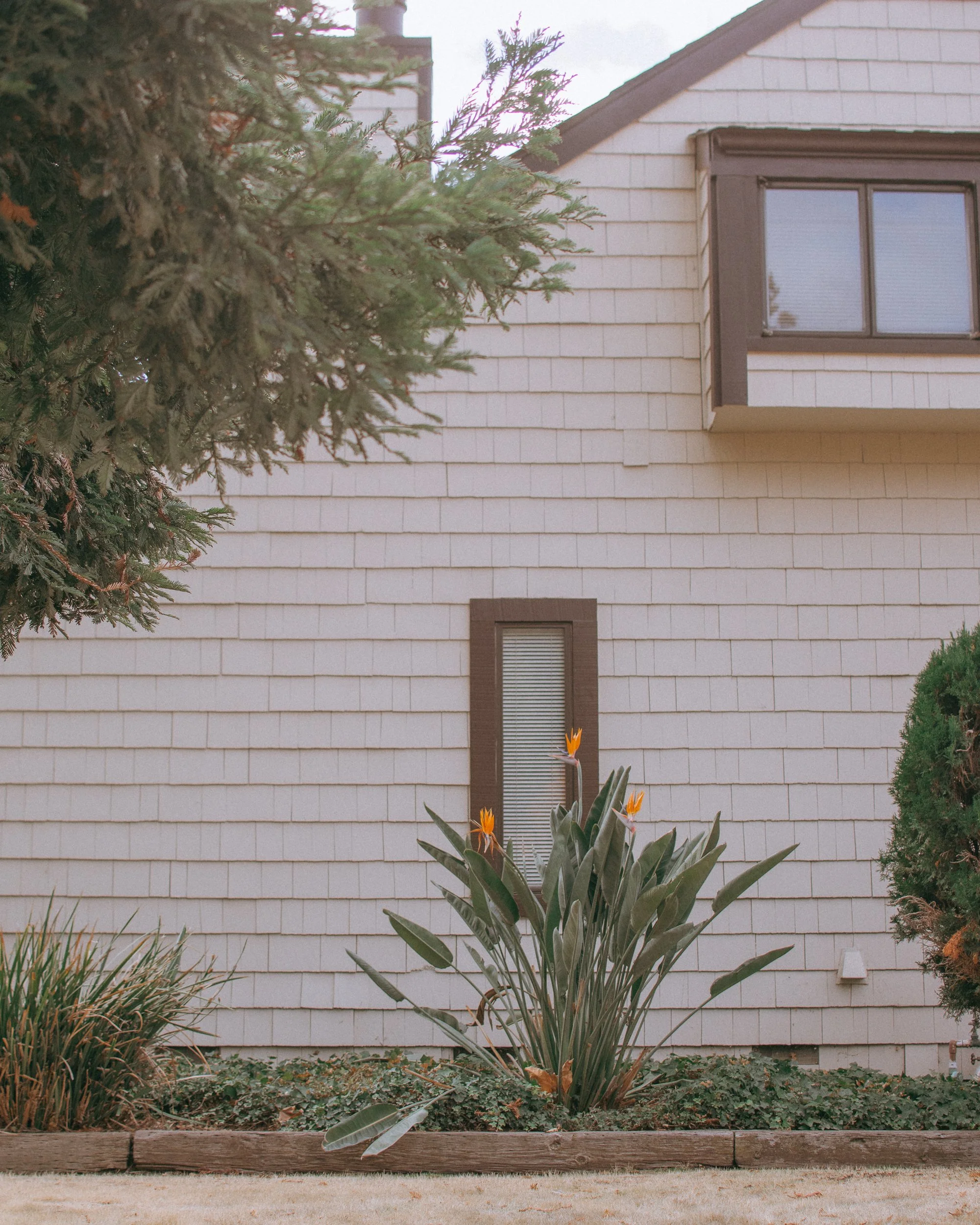 untitled241123- 026.jpg