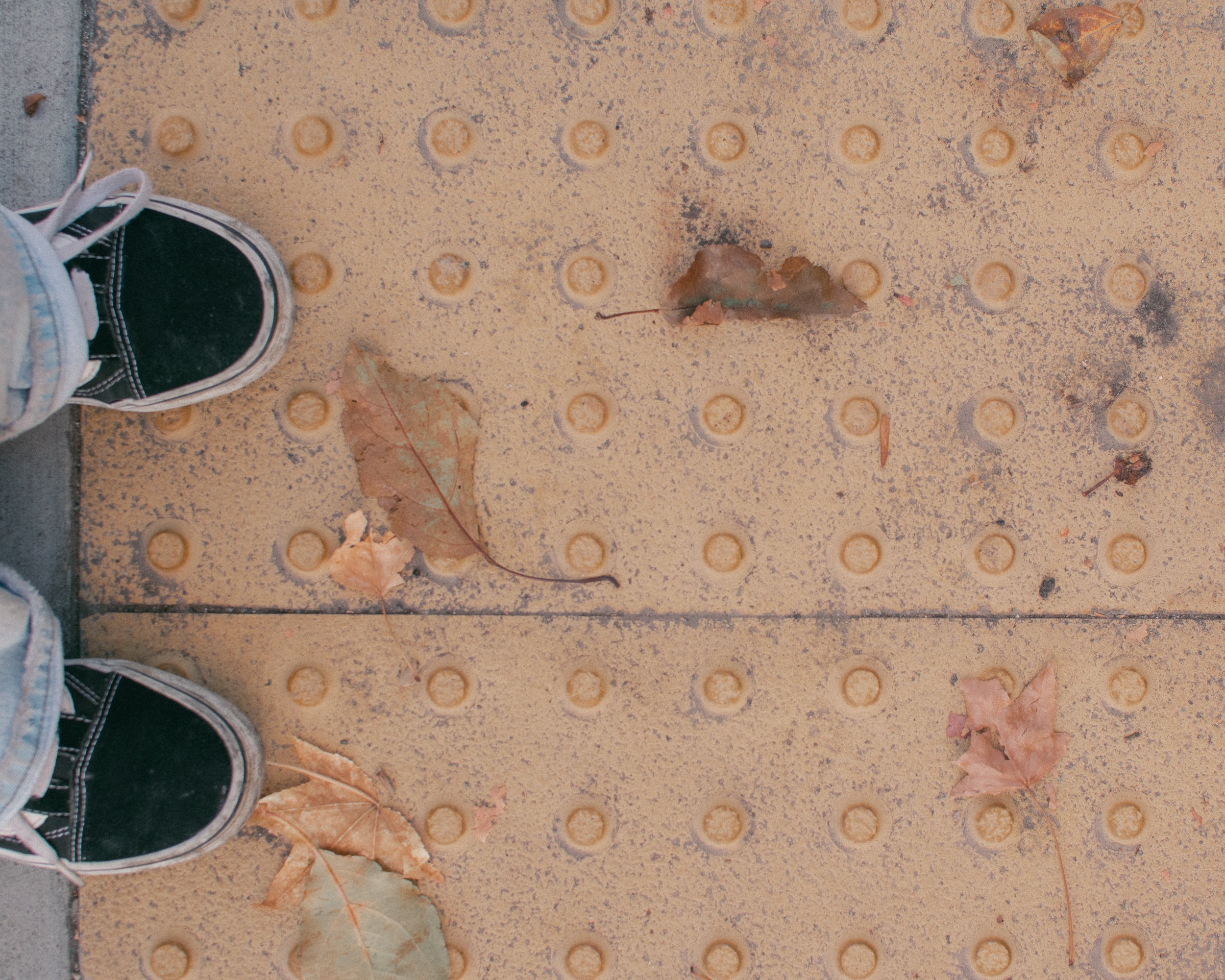 untitled241113- 040.jpg