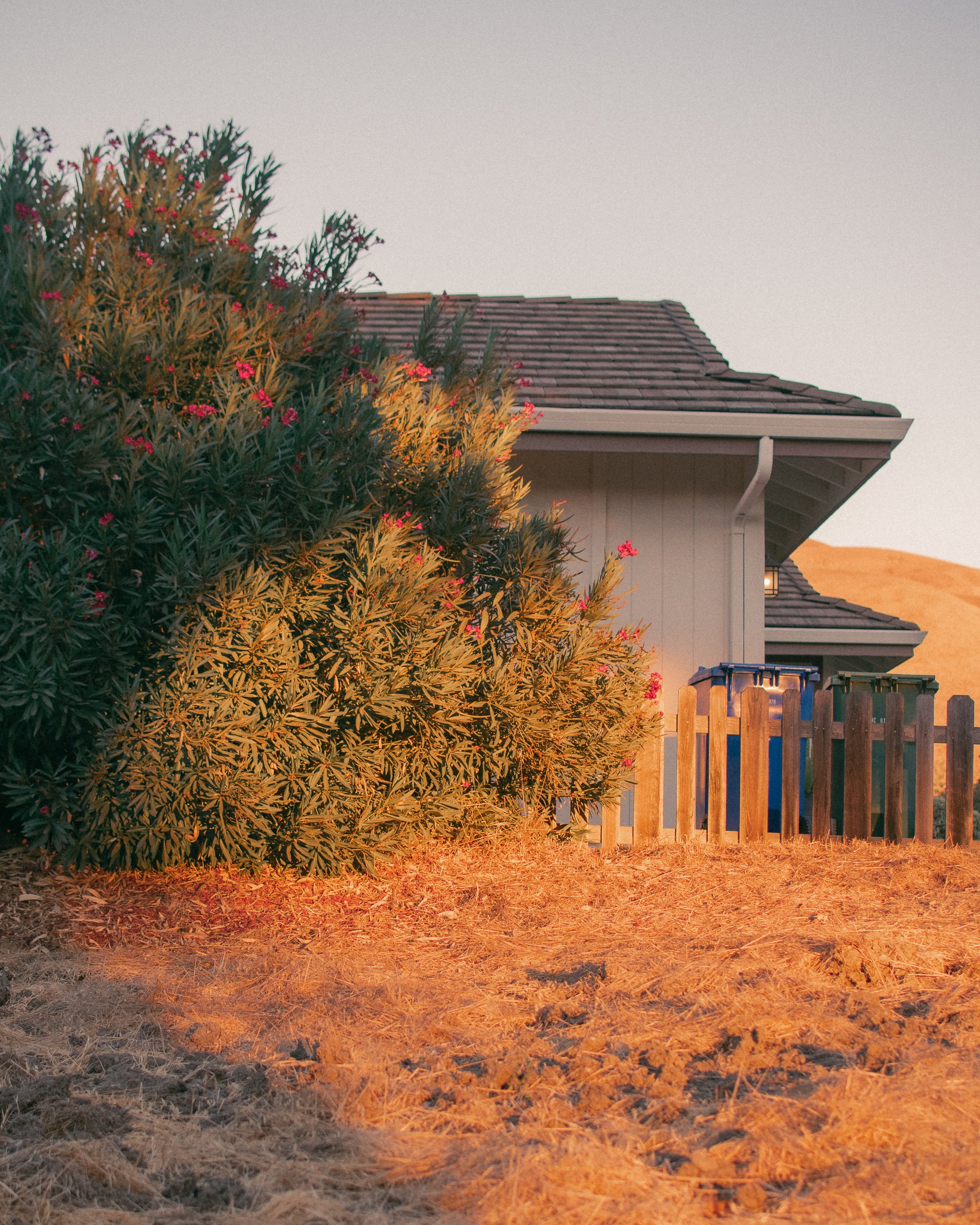 untitled241002- 029.jpg