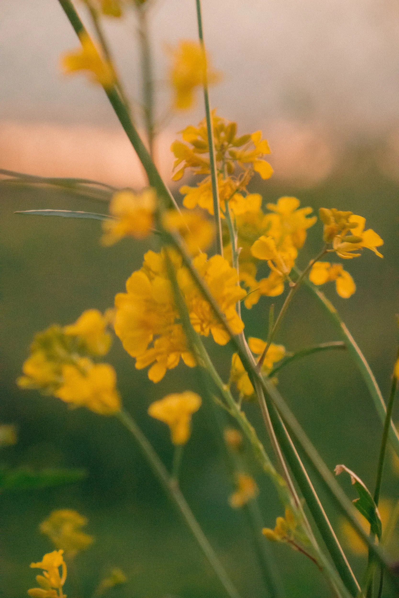 untitled250311- 010.jpg