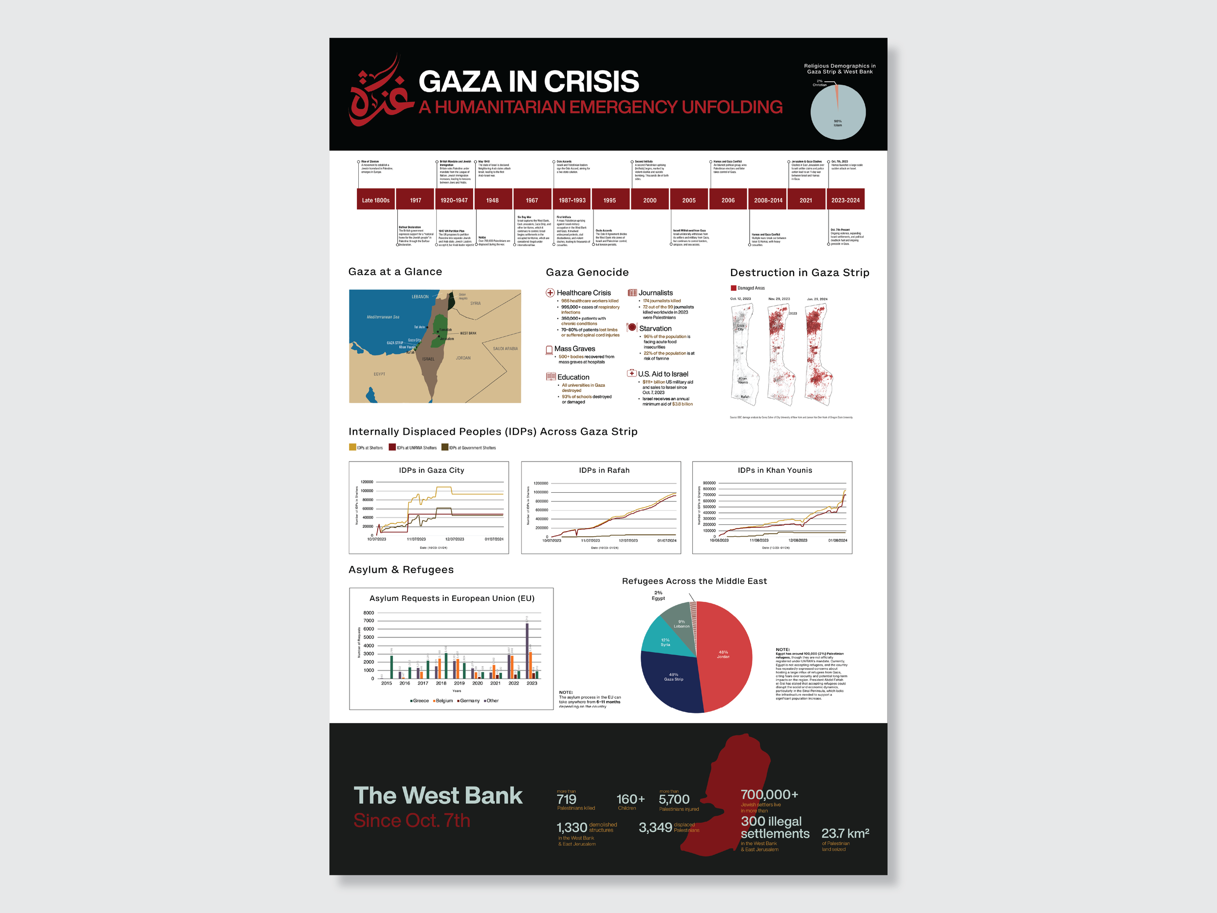 Gaza in Crisis Infographic