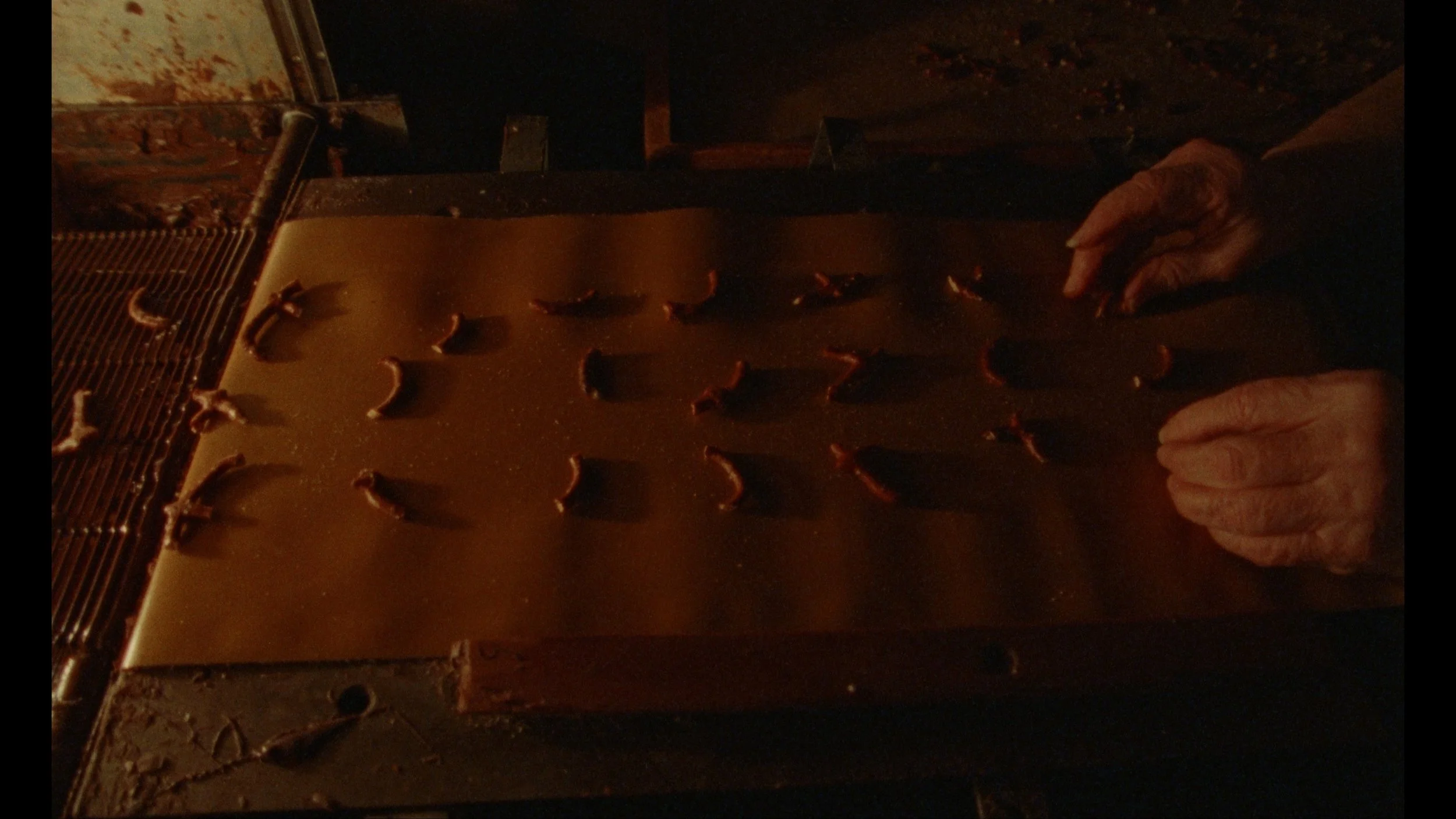 Still 2025-11-12 220557_1.10.1.jpg