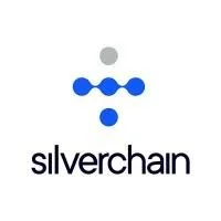 silverchain.jpg
