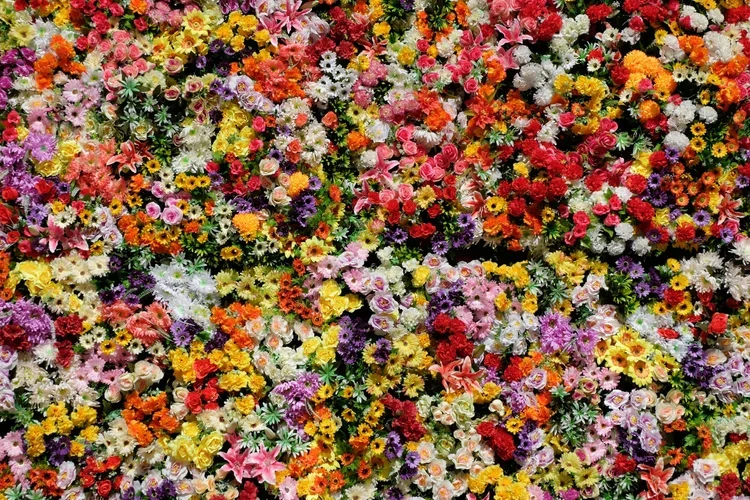 Toowoomba Carnival of Flowers