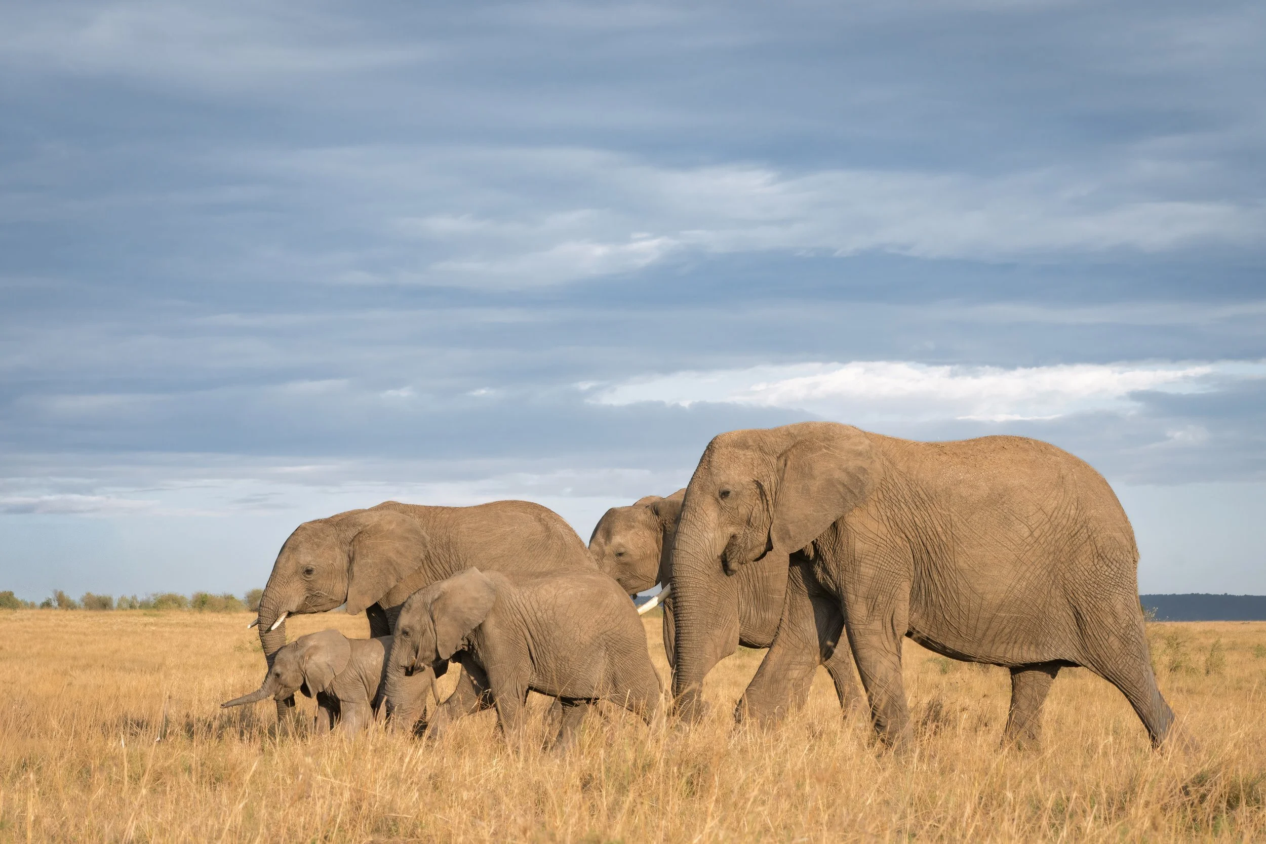 Trip 2 Image 3-2500.jpg