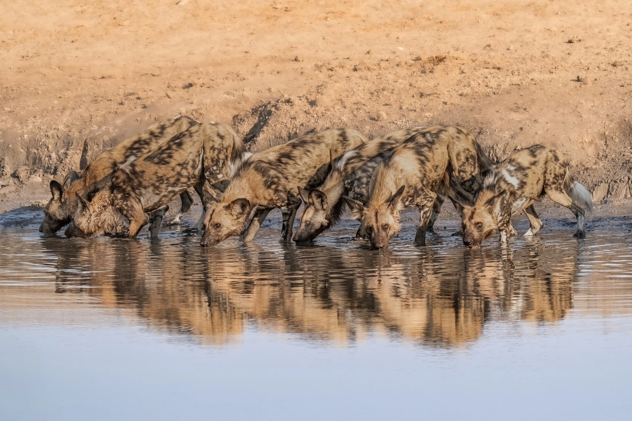 ZAMBIA: Remote, pristine wilderness