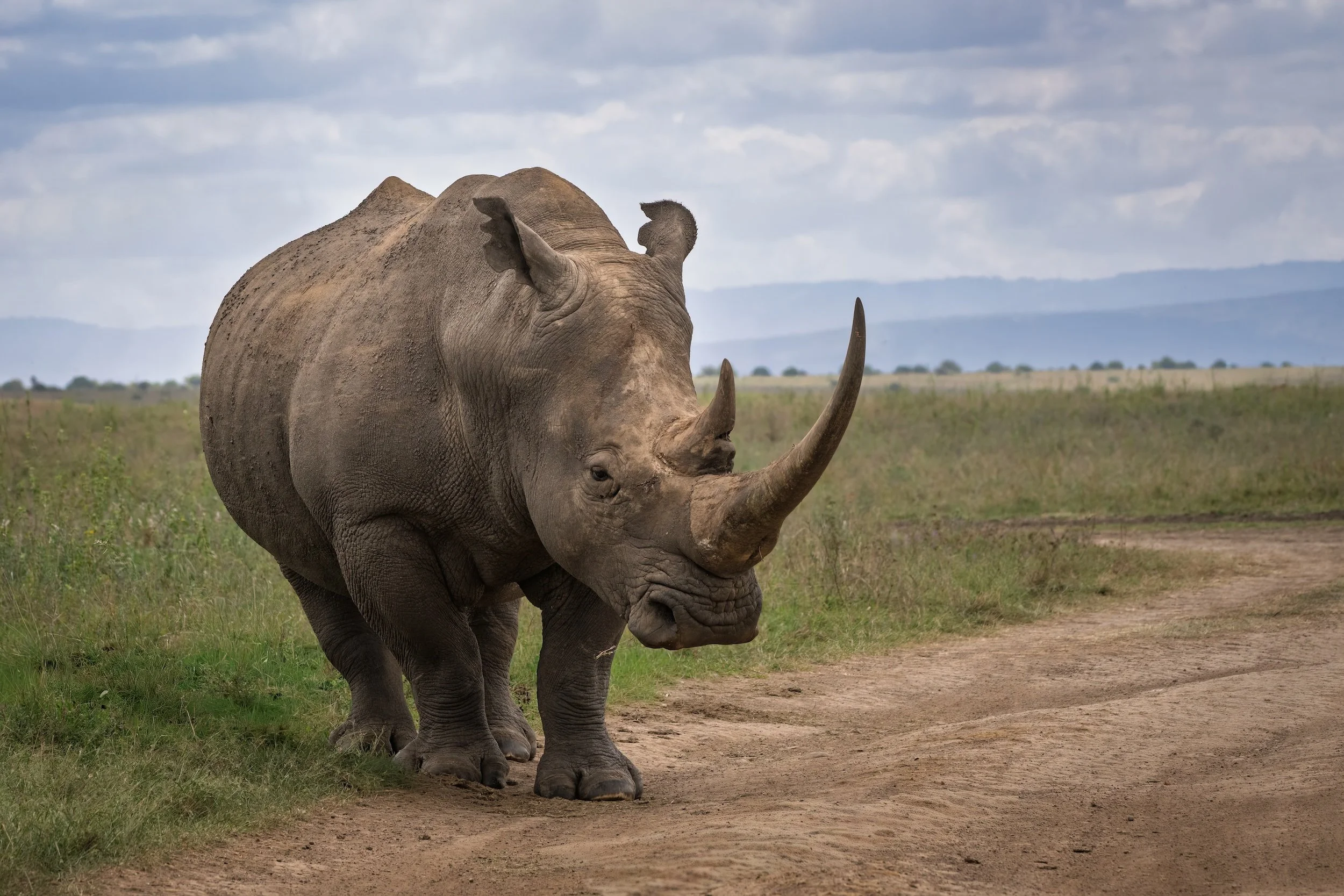 Trip 1 Image 2-2500.jpg