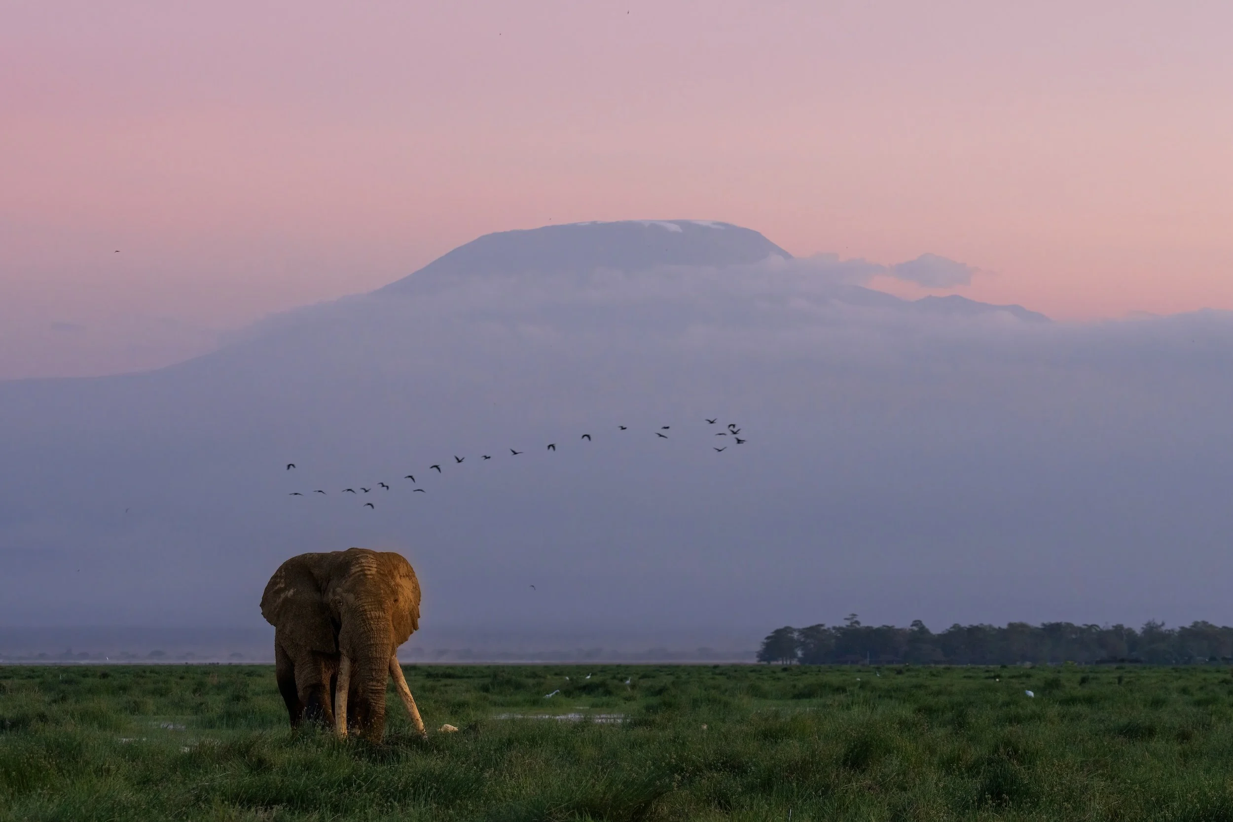 Trip 1 Image 5-2500.jpg