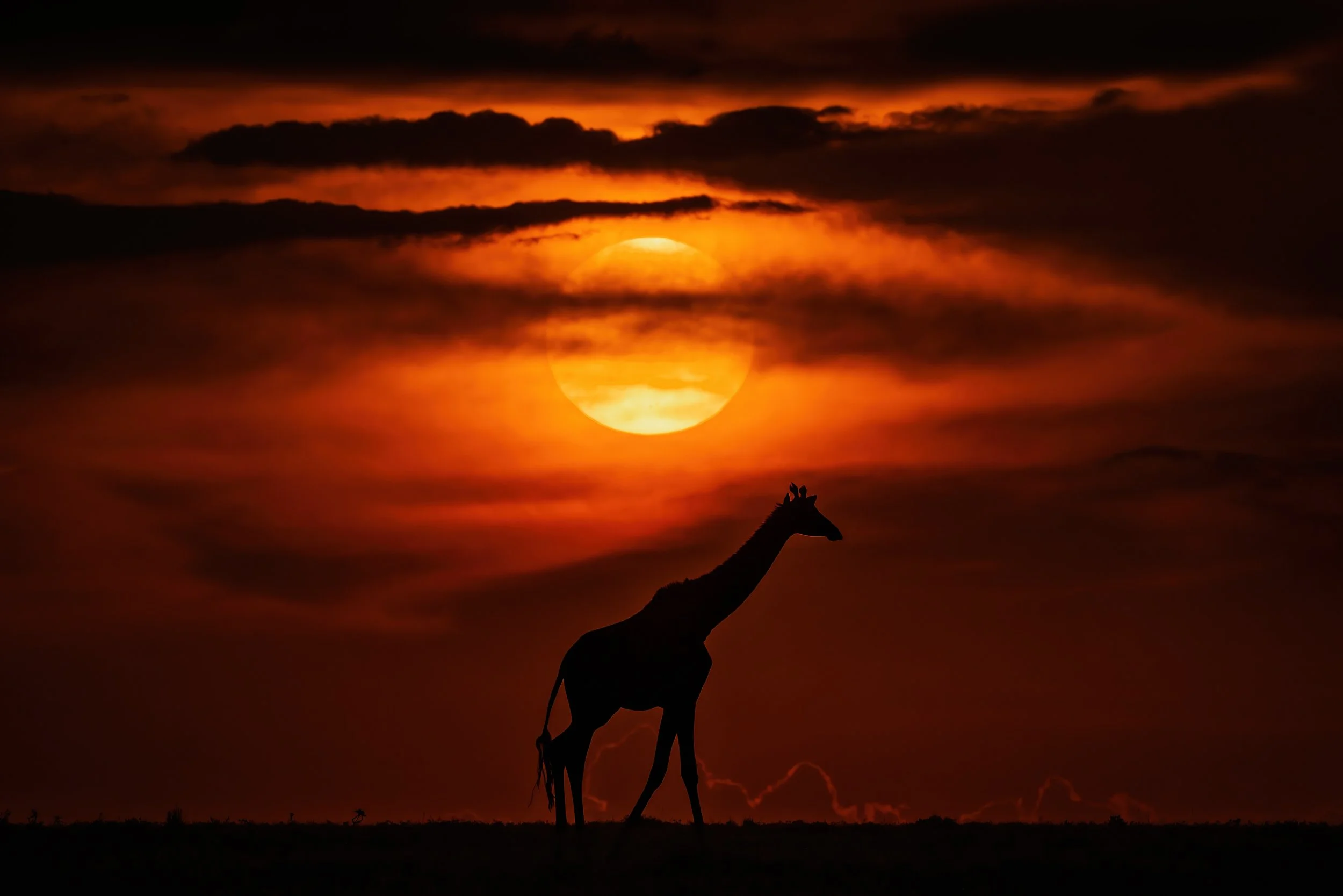 Trip 2 Photo 6-2500.jpg