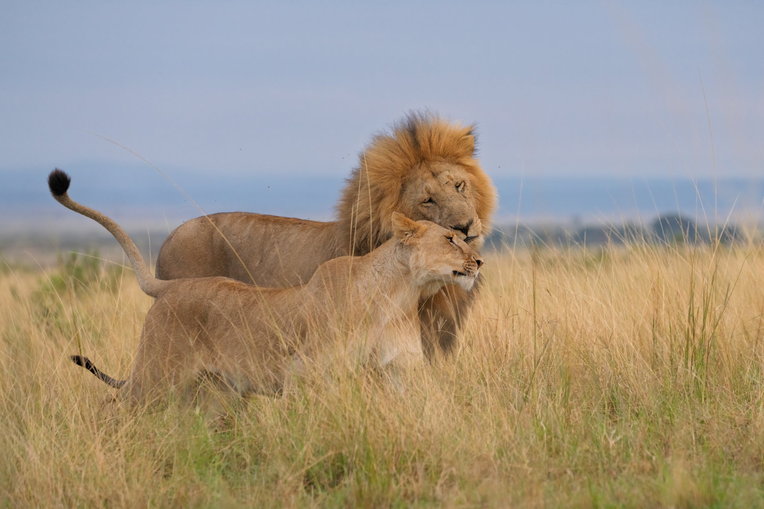 Trip 2 Image 2-2500.jpg