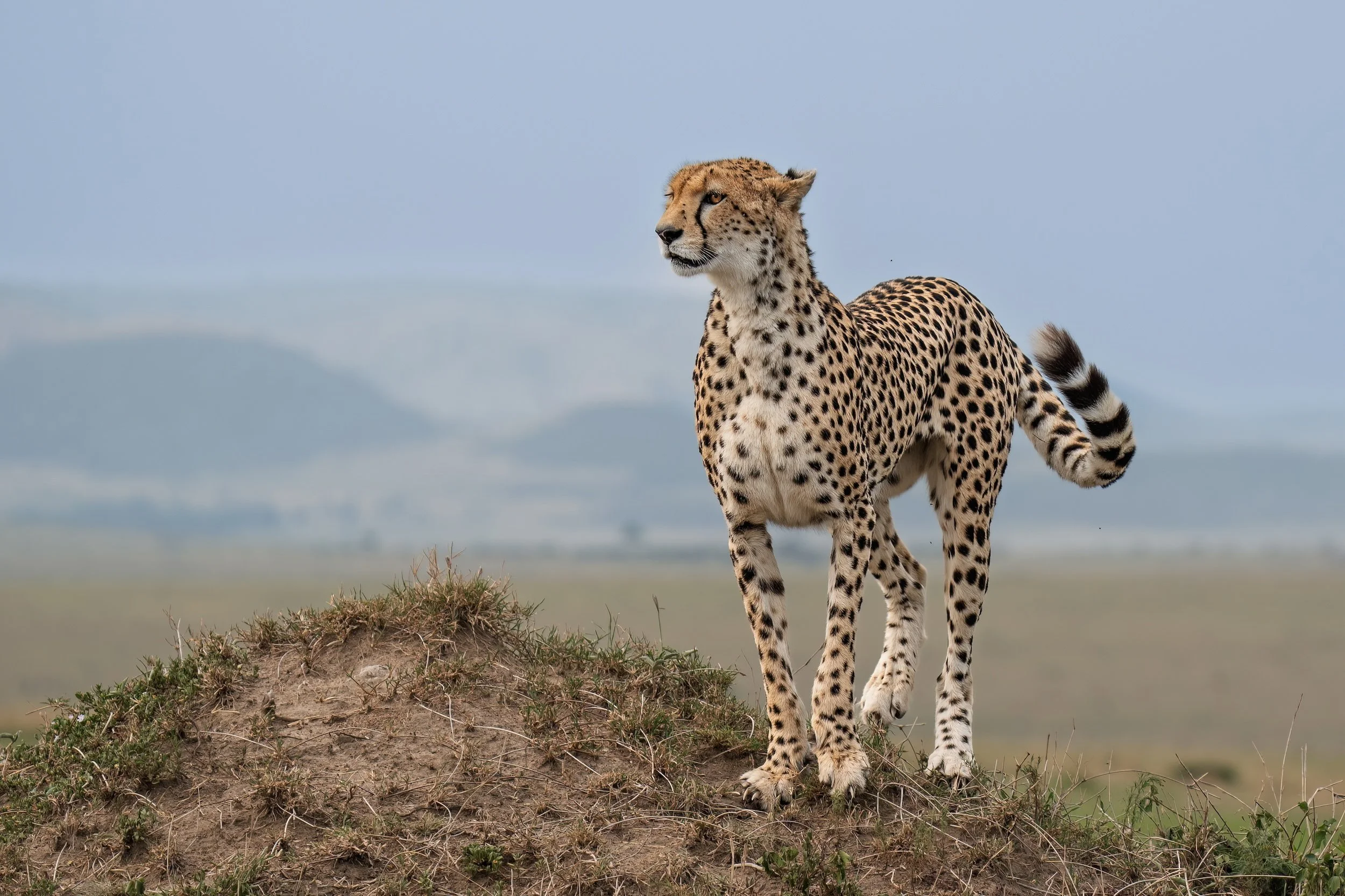 Trip 1 Image 3-2500.jpg