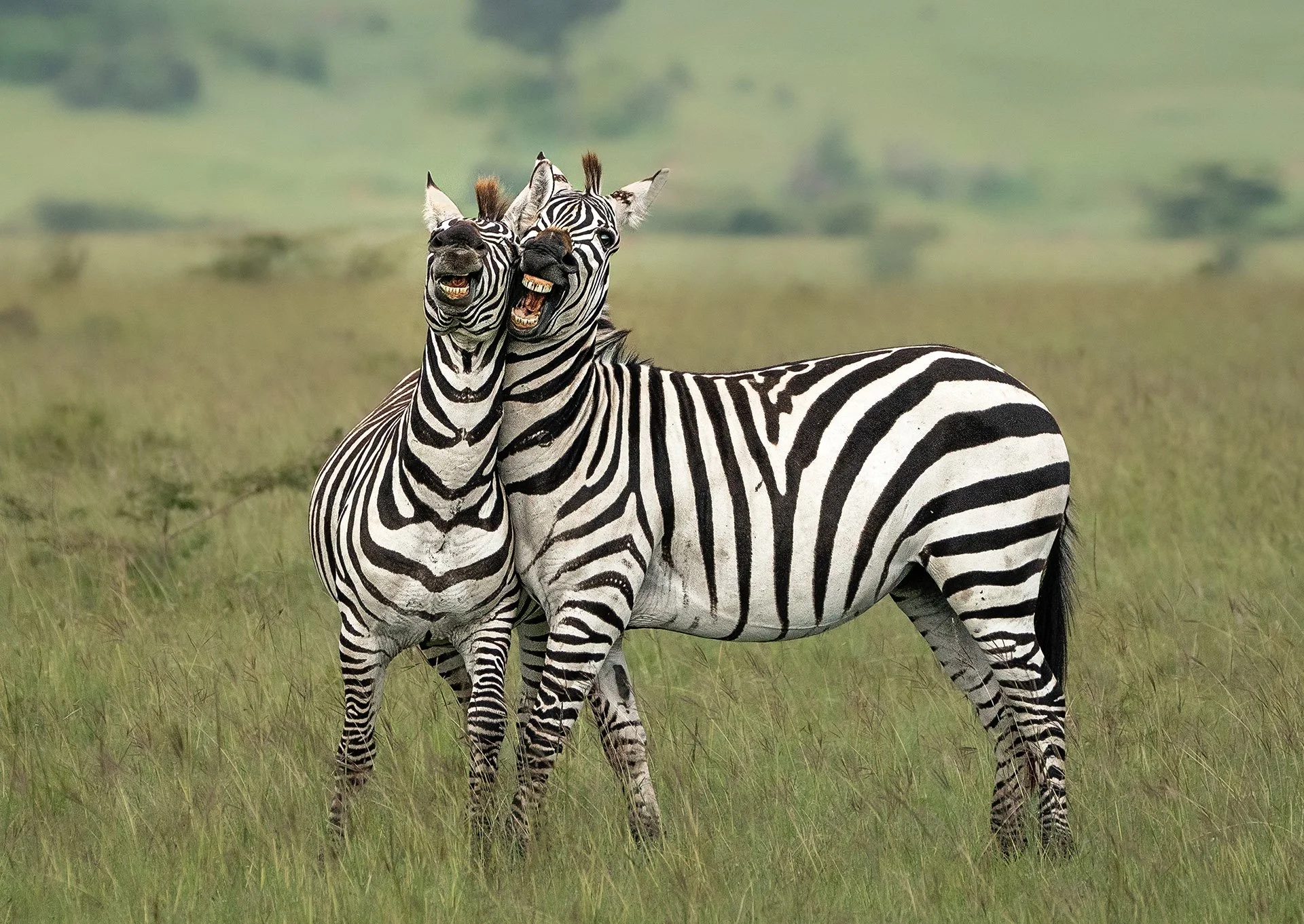  Smile for the Camera Masai Mara 2024