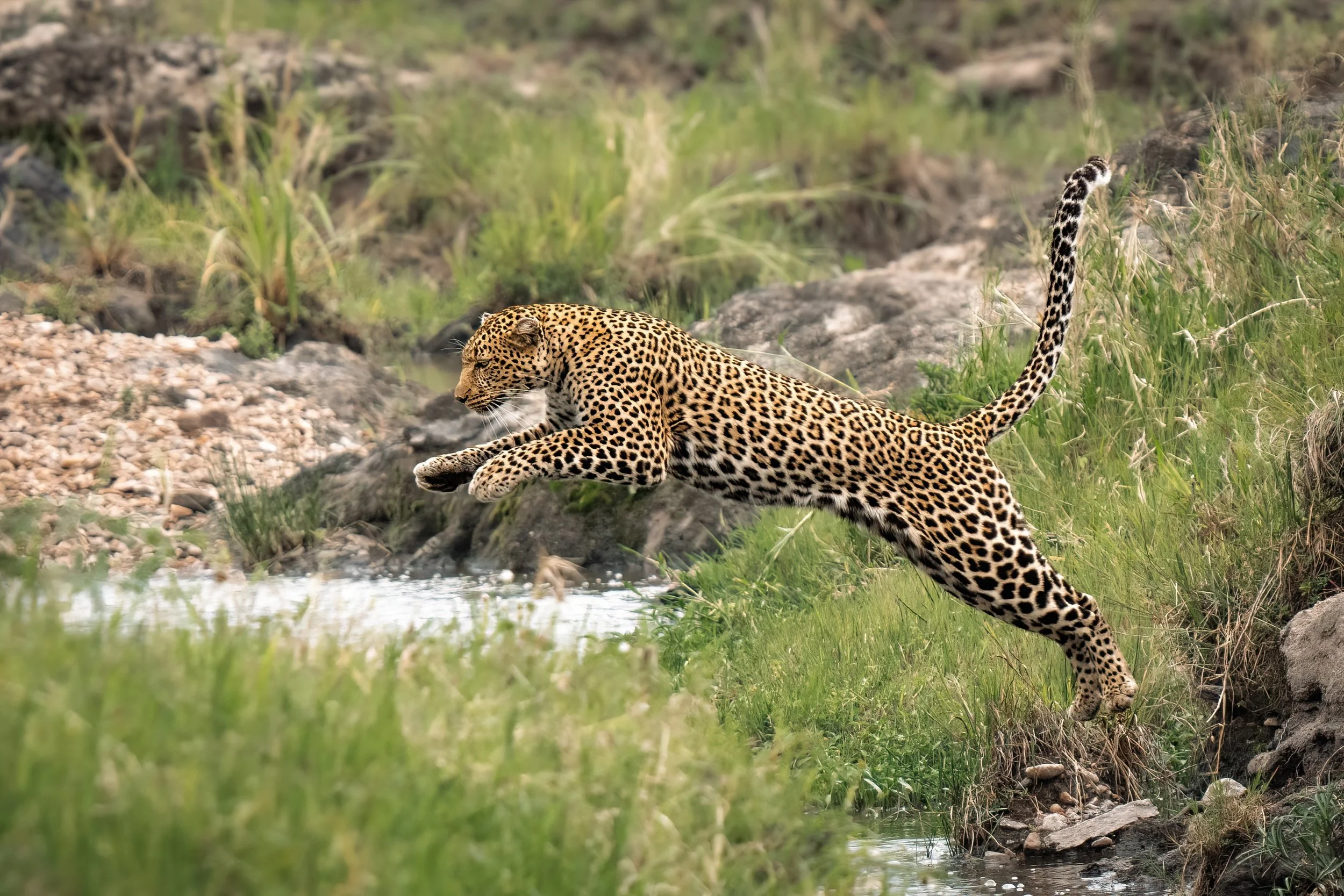 Trip 2 Photo 5-2500.jpg