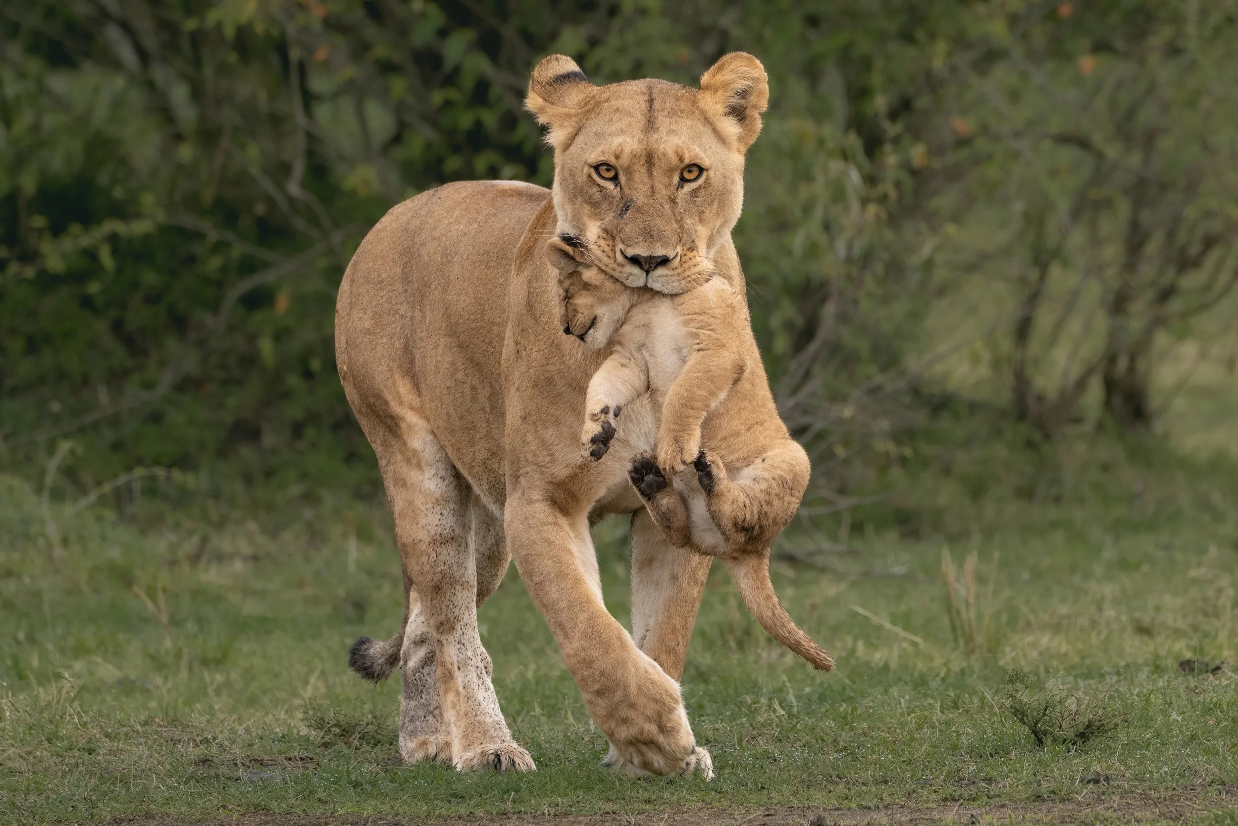 Trip 2 Photo 4-2500.jpg