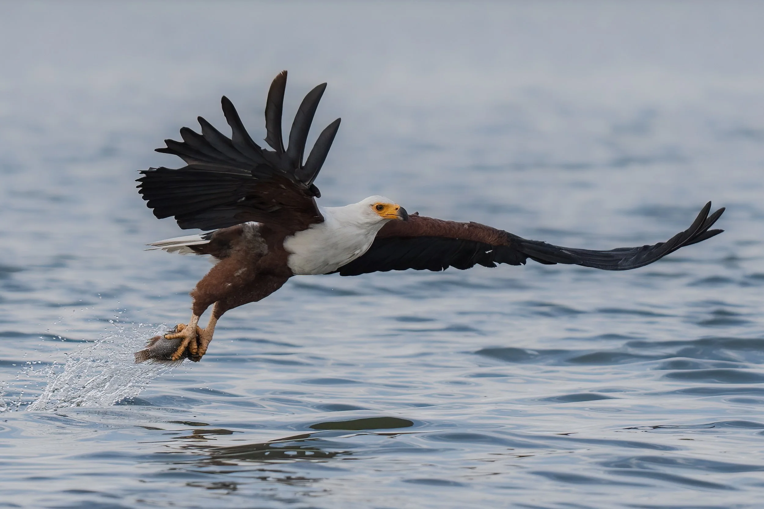 Trip 1 Image 4-2500.jpg