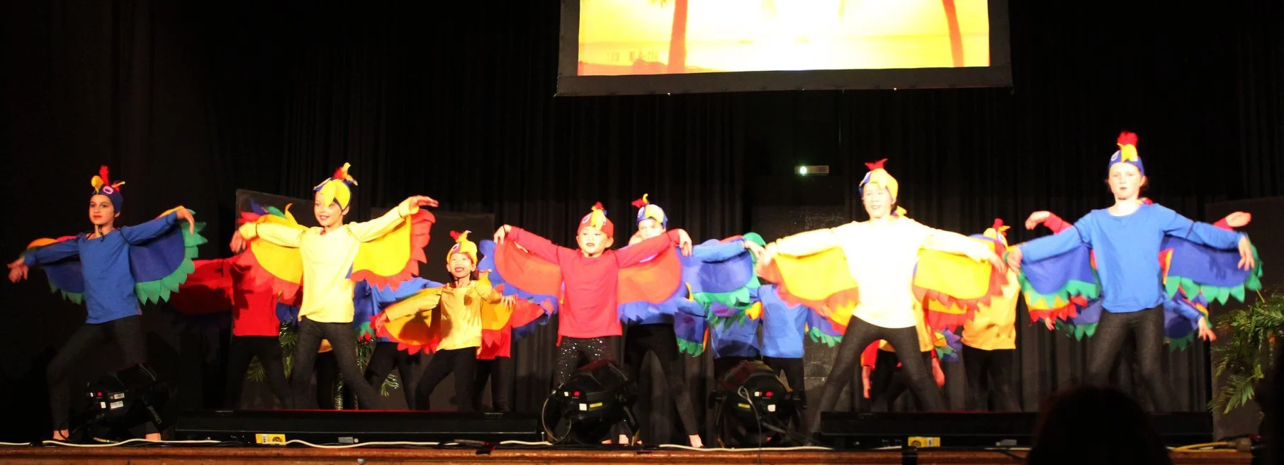 Children performing on stage in colorful bird costumes with wings and beak headpieces during a school play or dance performance.