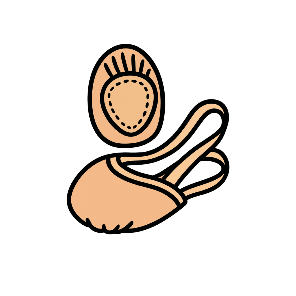 Illustration of a pair of lyrical half shoes with elastics.