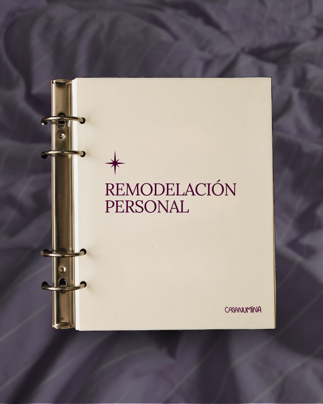 Remodelación Personal: 100 días de enfoque