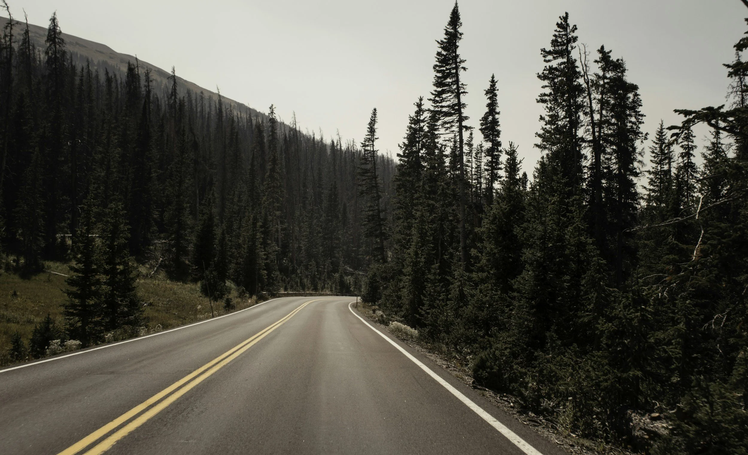 Mountain road lined with evergreen trees, representing the Colorado areas served for in-home lactation visits.