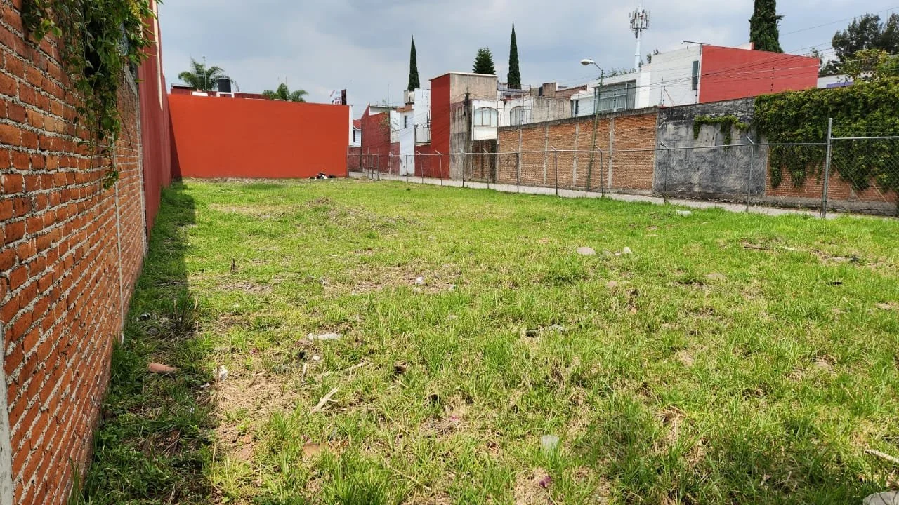 WhatsApp Image 2024-10-09 at 10.55.54.jpeg