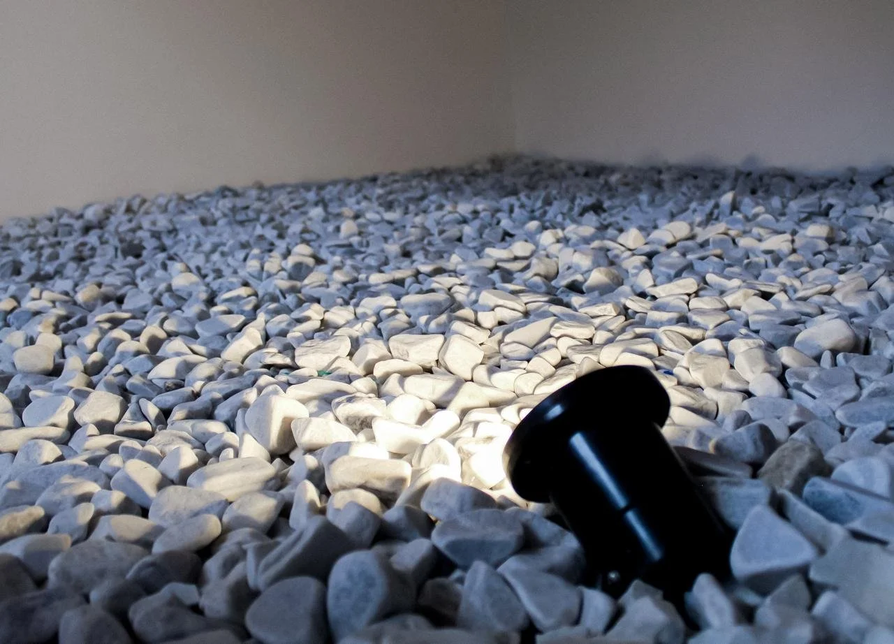 WhatsApp Image 2026-01-12 at 14.42.30.jpeg