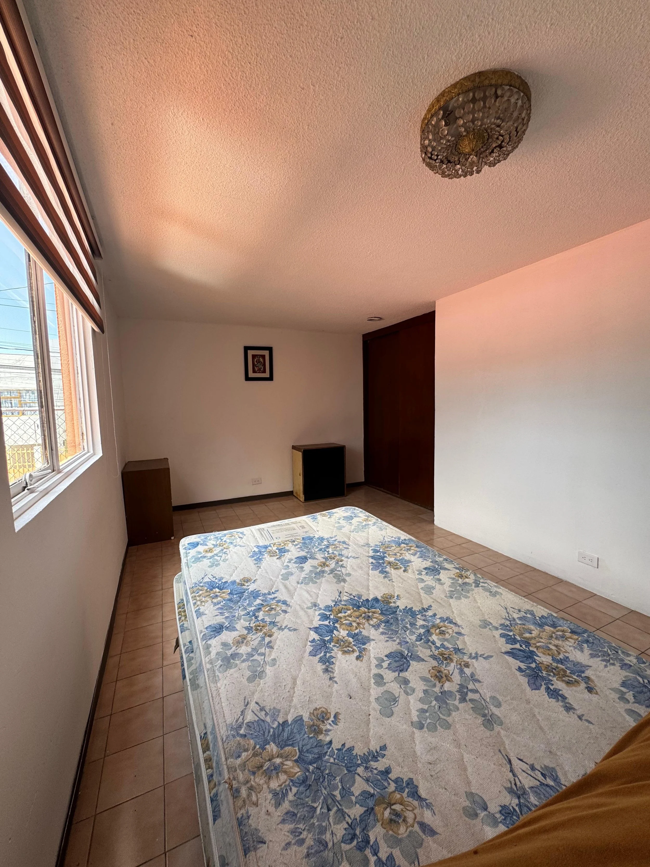 WhatsApp Image 2025-10-31 at 16.19.57 (6).jpeg