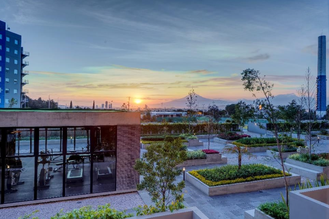 Captura de pantalla 2026-01-22 a la(s) 12.06.05 a.m..png