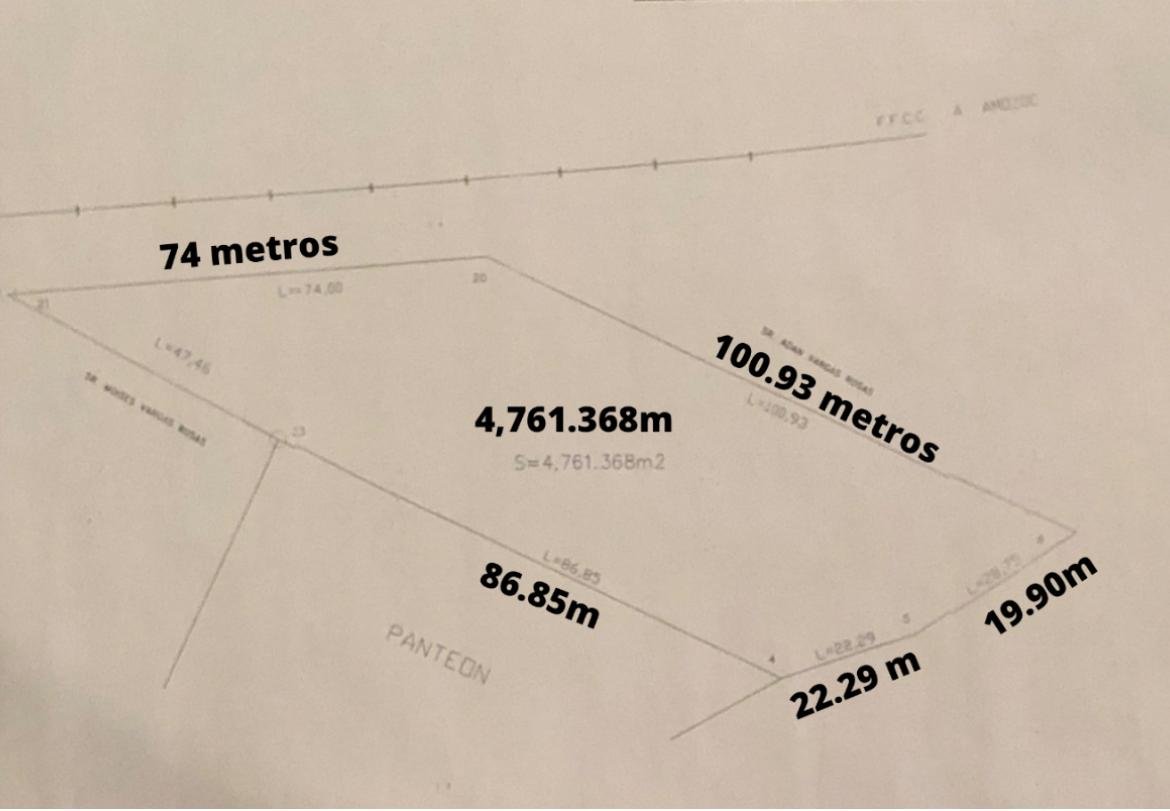 WhatsApp Image 2025-11-18 at 20.19.28.jpeg